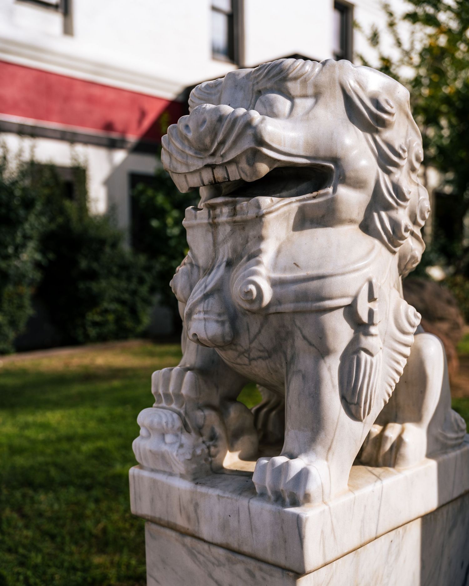 Bok Kai temple lion statue