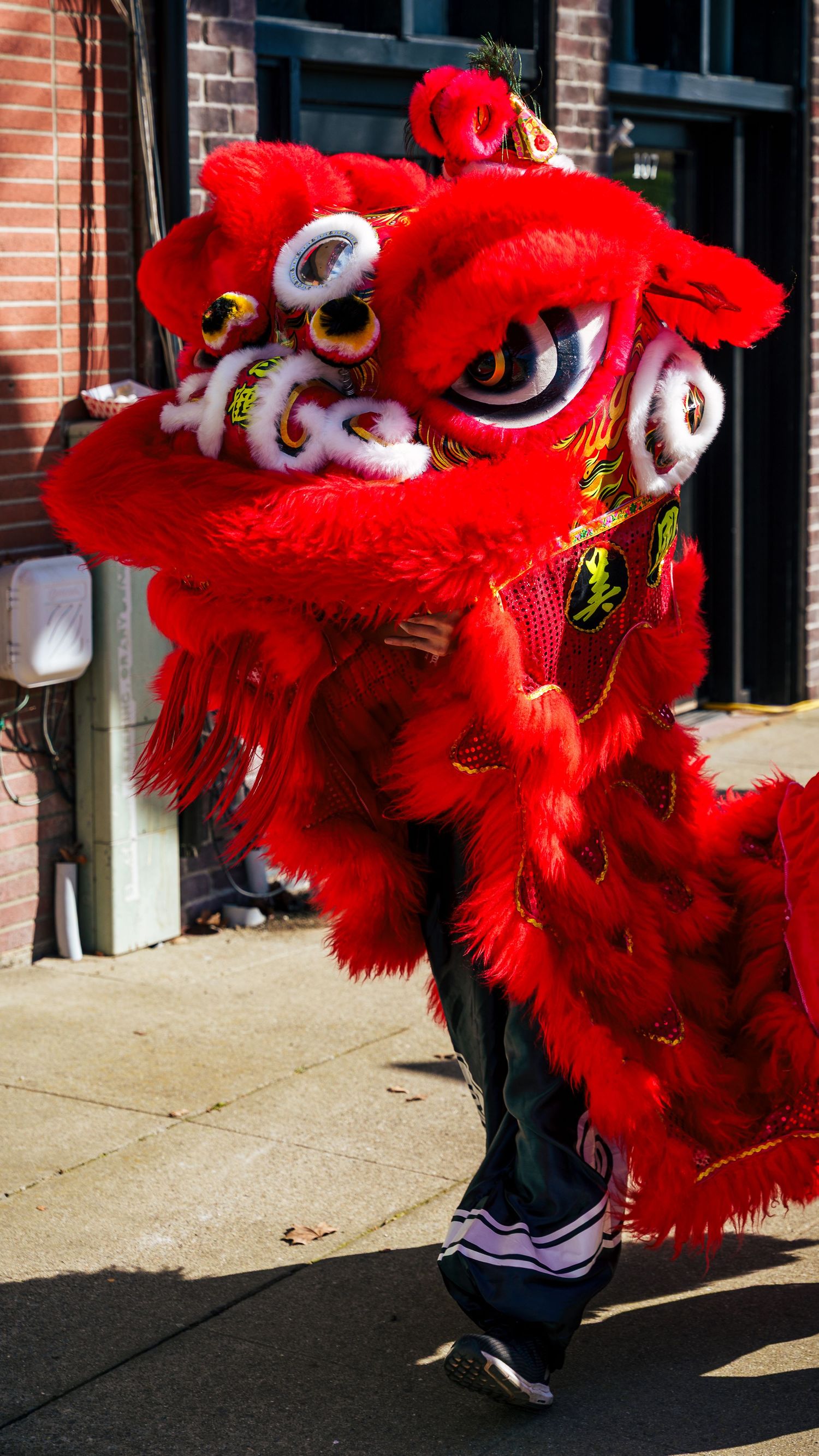 Lion during the Bok Kai parade in Marysville, CA