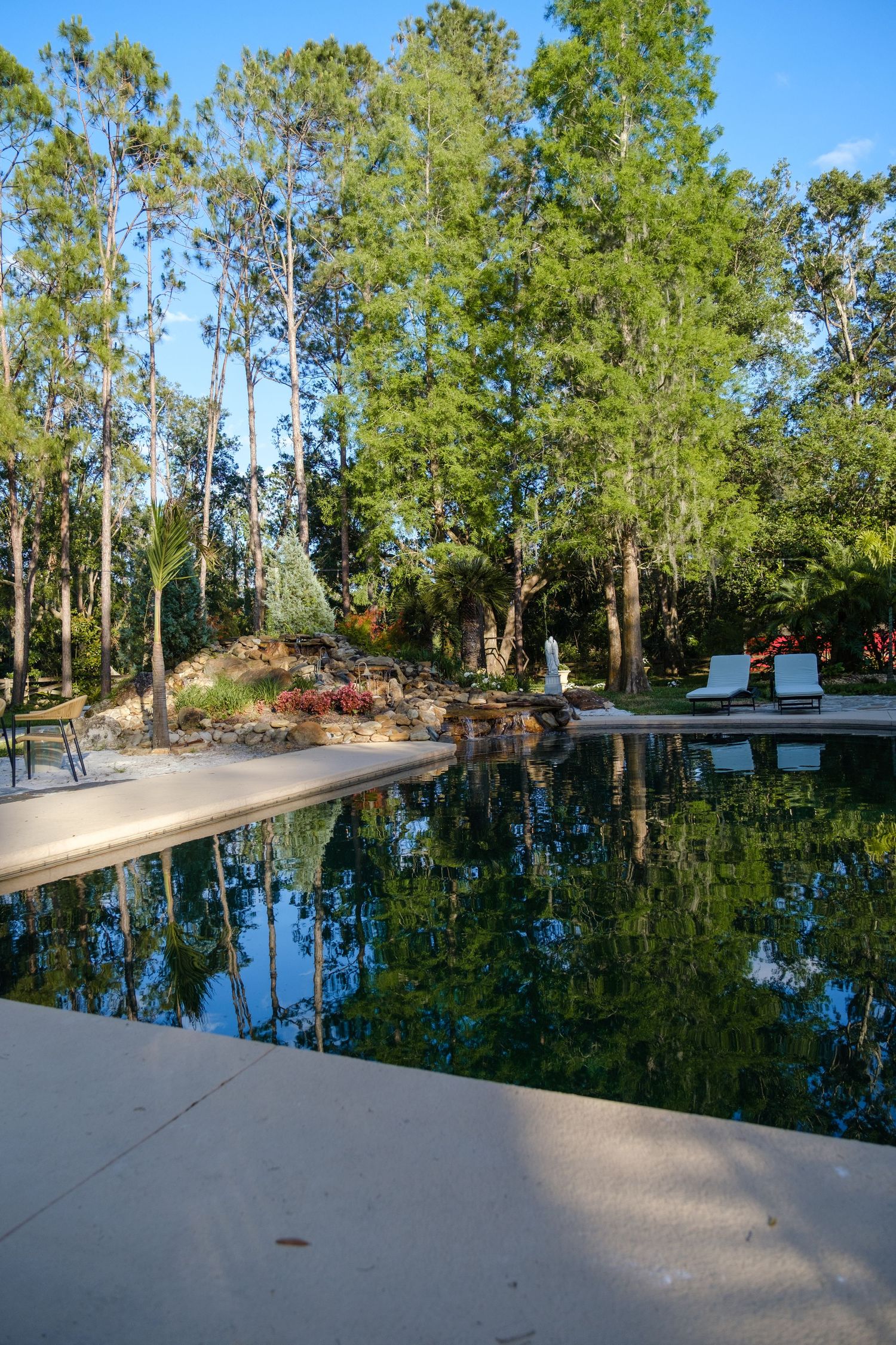 A tranquil swimming pool surrounded by tall pine trees reflects the natural landscape with lounge chairs visible in the background.