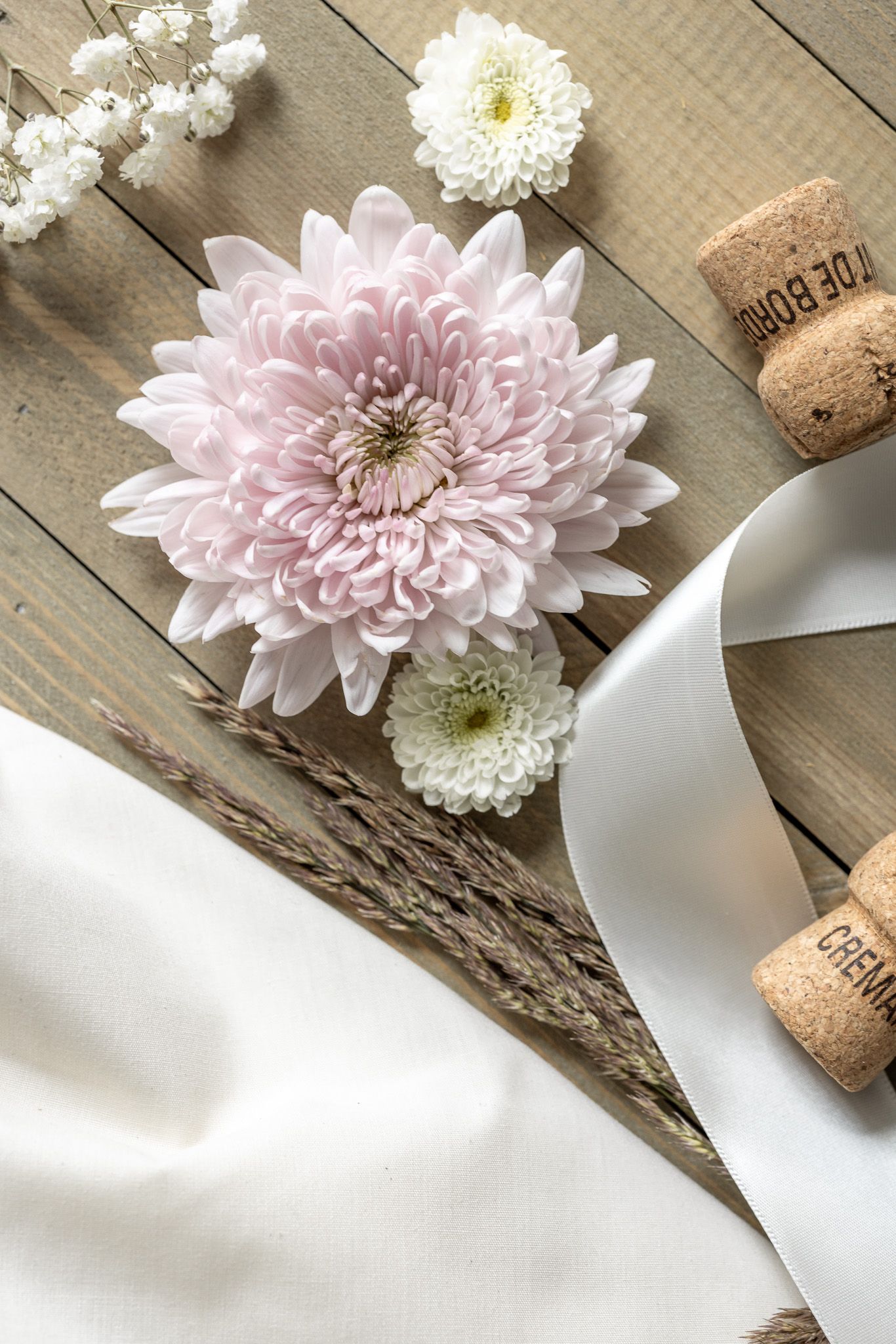 Soft pink chrysanthemum bloom with white flowers and champagne corks on rustic wood surface with white ribbon.