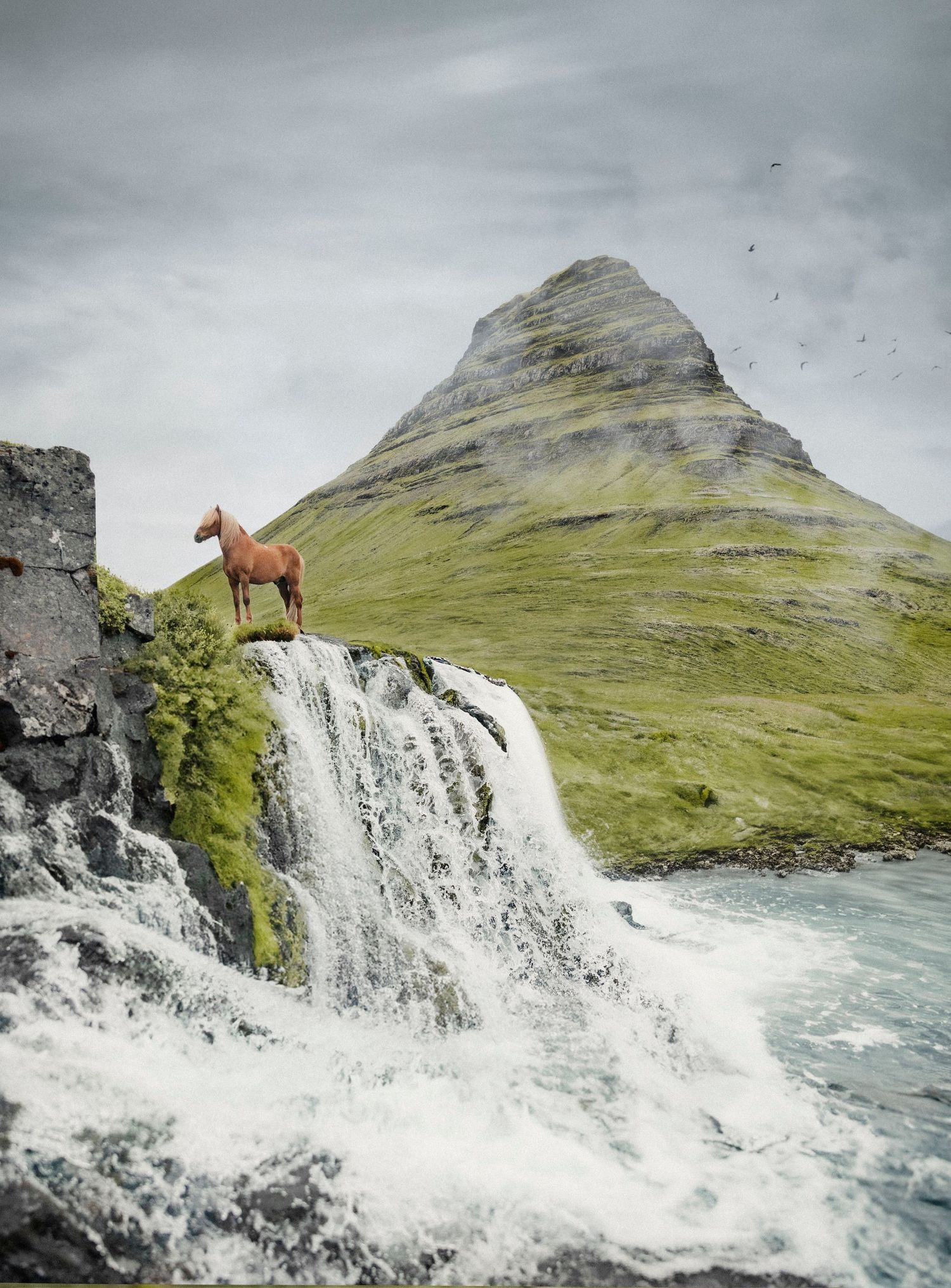 Malva Hellman
islandshäst
kirkjufell
island