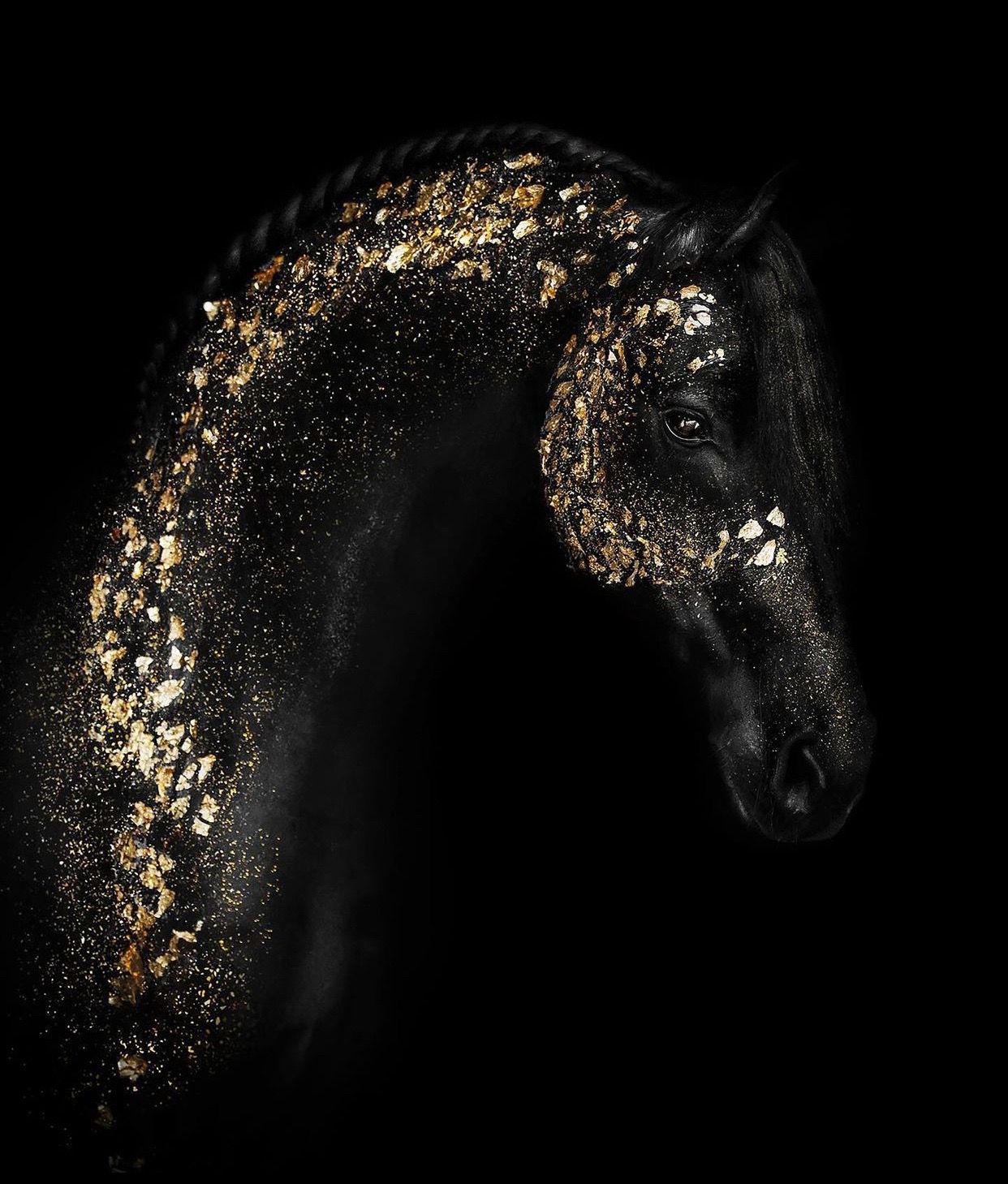 Elegant fine art porträtt på Frieserhäst med guldglitter i manen mot svart bakgrund, fångar en magisk stilfull känsla med konstnärlig effekt