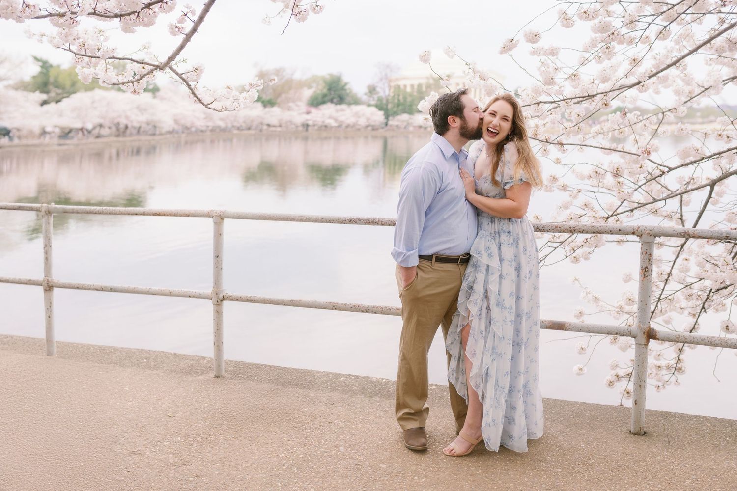 A romantic spring engagement photo beneath pink cherry blossoms along the Tidal Basin.