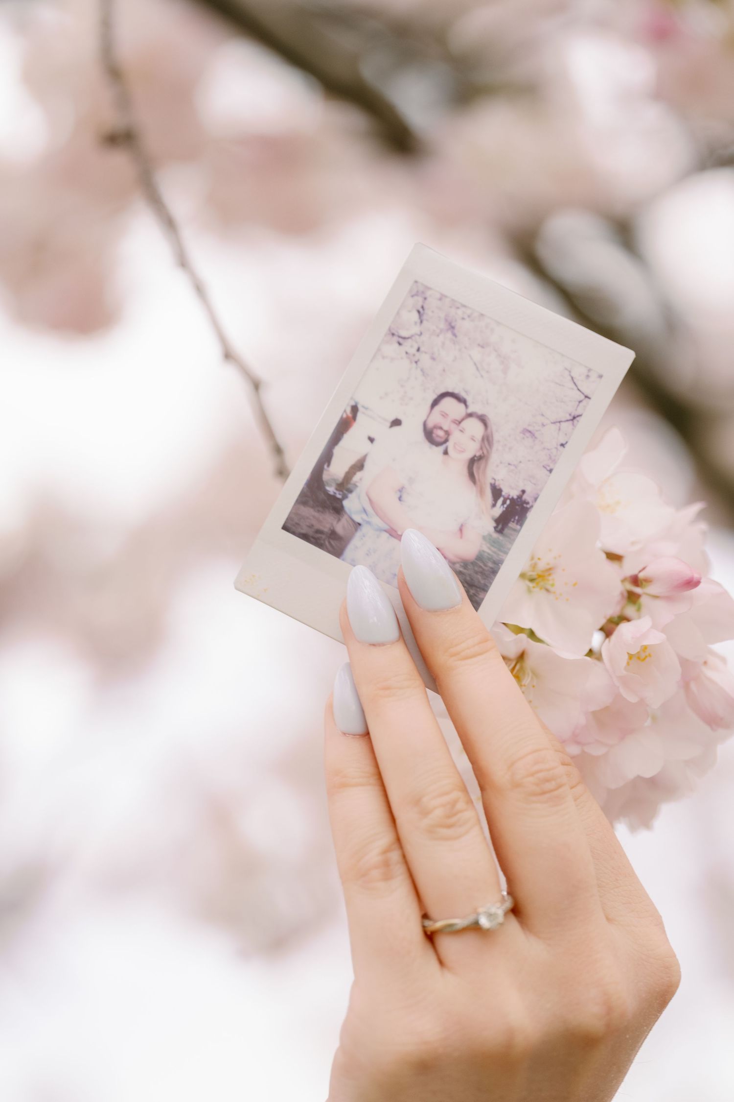 Hand holding polaroid photo among cherry blossoms, with engagement ring visible.