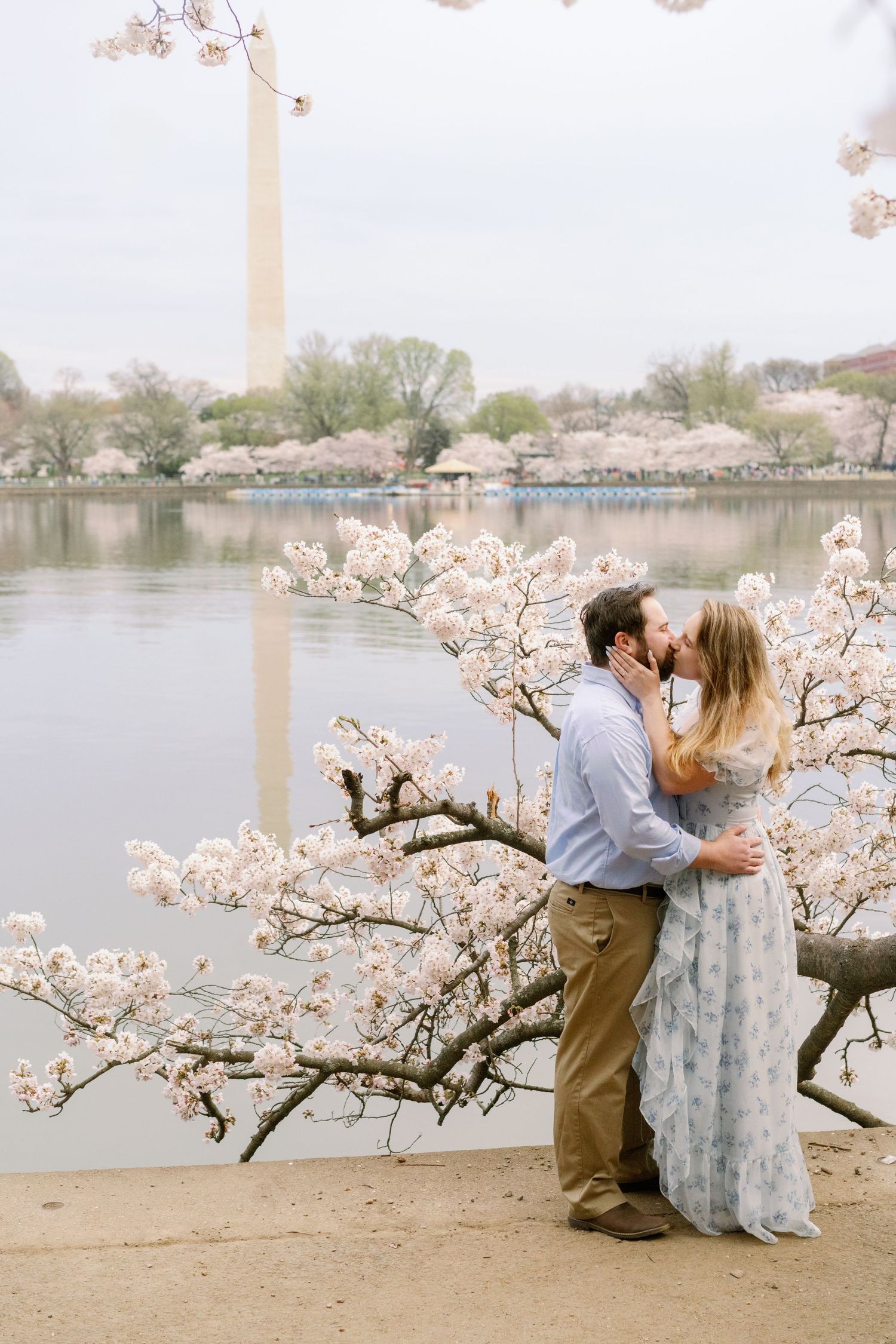 Cherry blossoms frame a romantic scene along the Tidal Basin with the Washington Monument in the background.