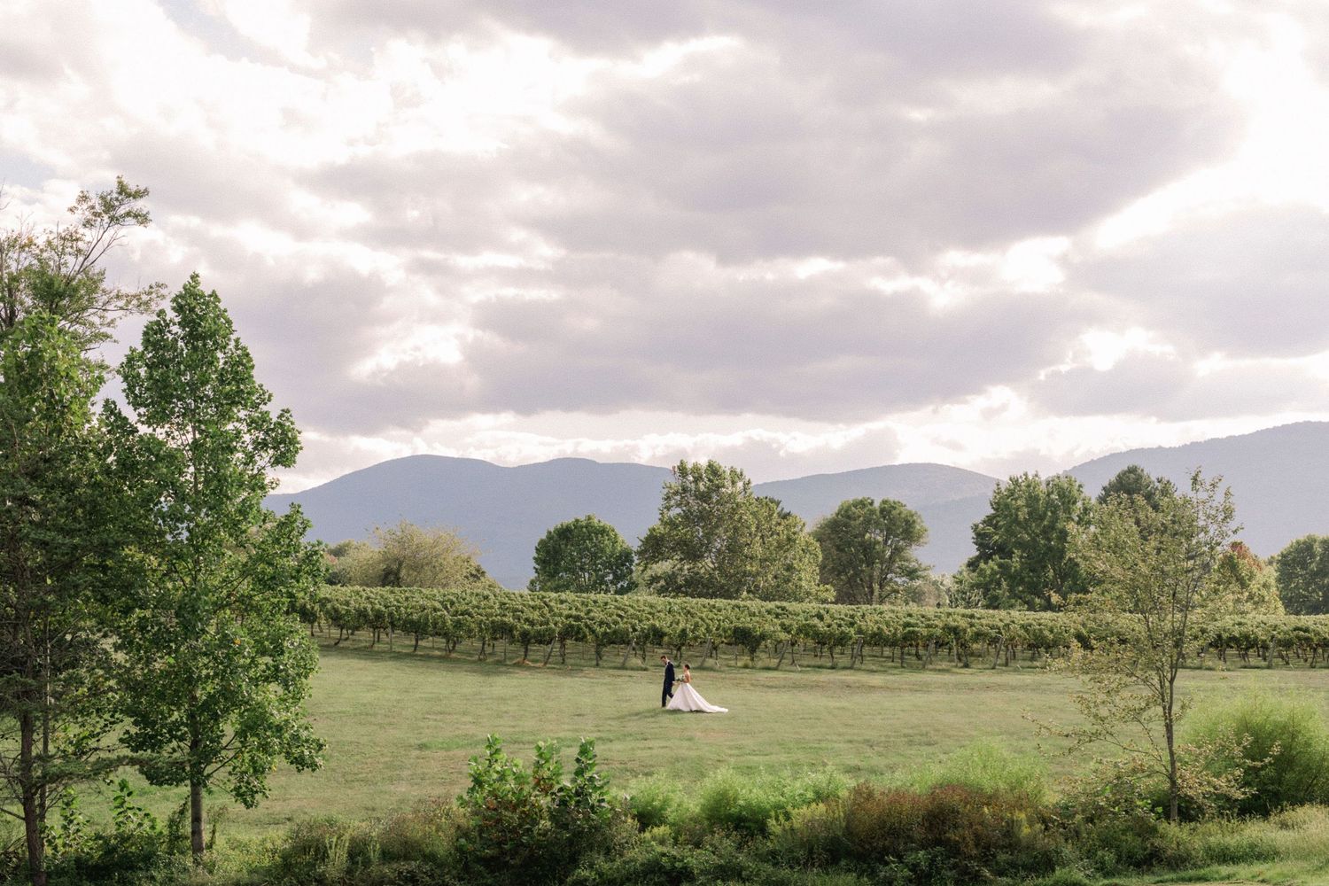 Rolling hills and mountains frame a scenic vineyard landscape under cloudy skies.