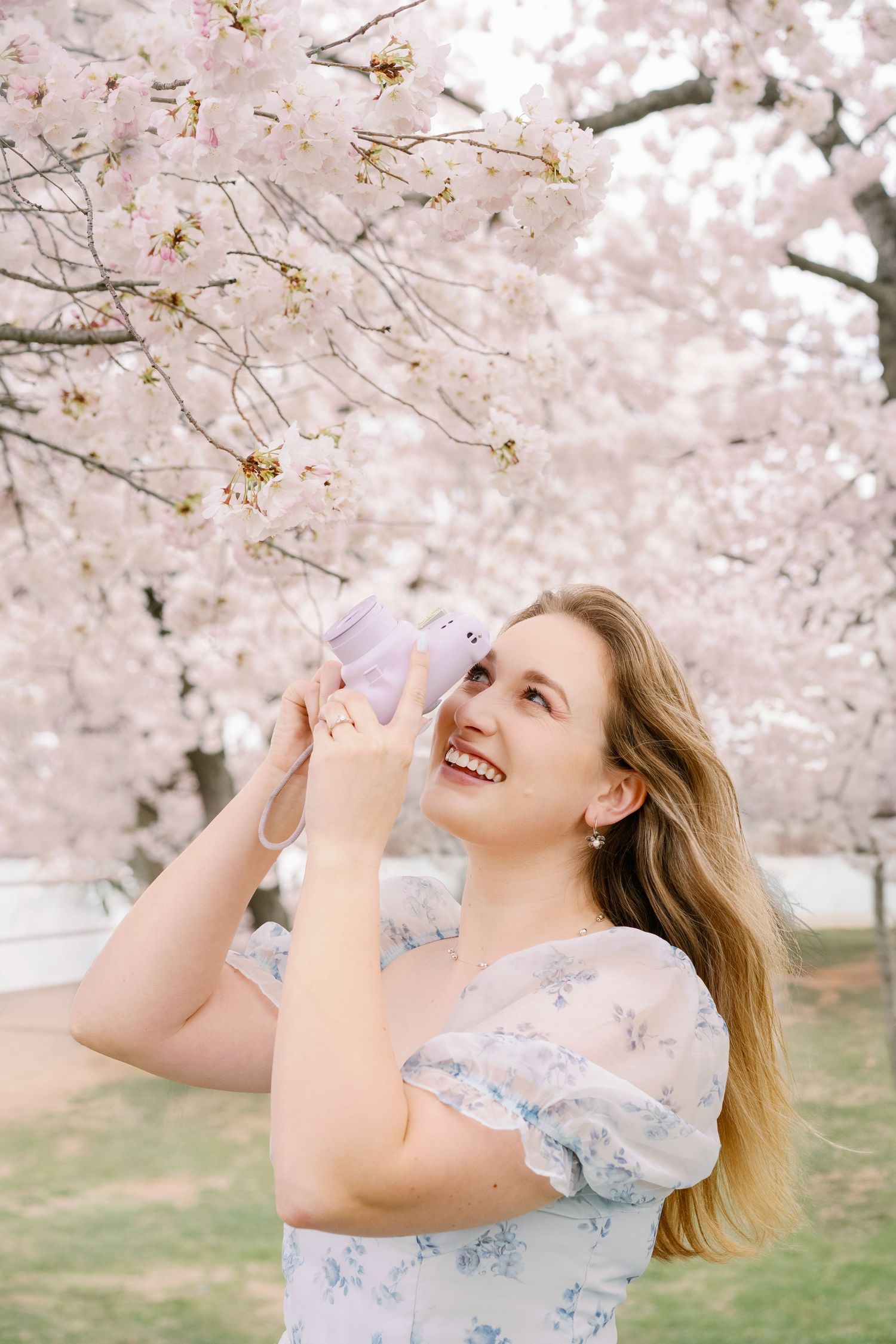 Woman in blue dress laughing while reaching up to touch cherry blossoms.