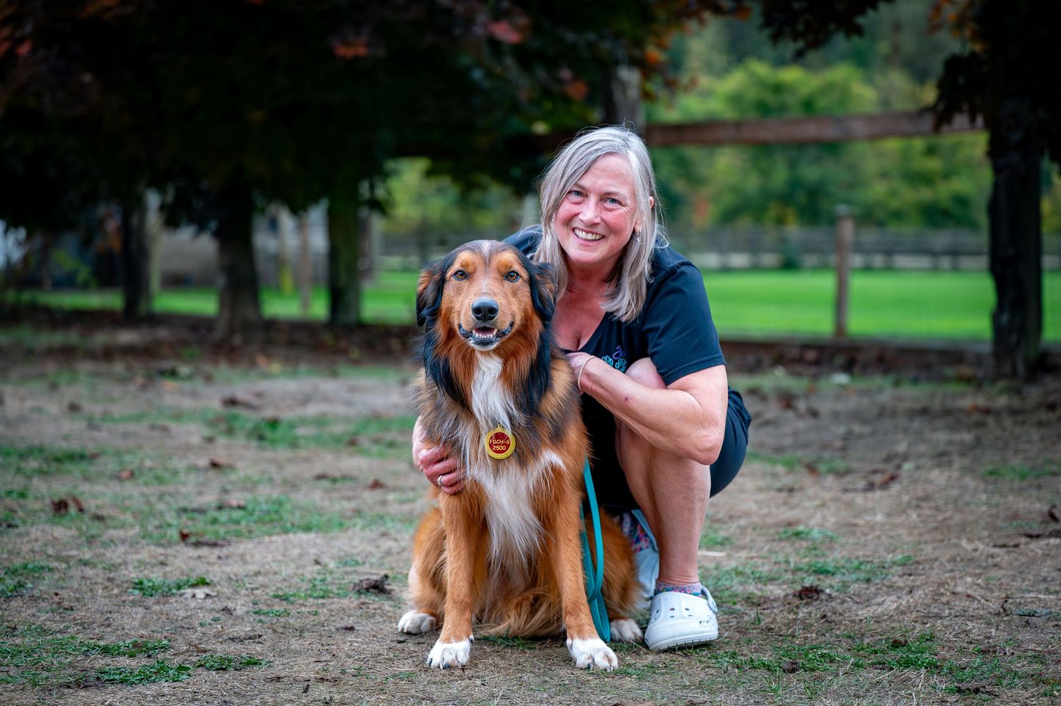 A golden retriever mix dog sits outdoors with someone crouched beside them in a park setting.