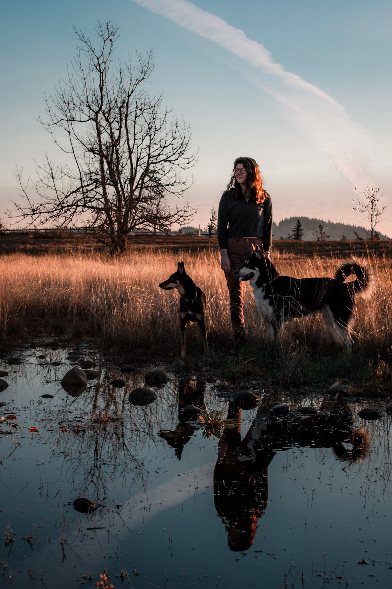 Silhouetted figures and dog reflected in still water at sunset among tall grasses and bare trees in moody landscape.