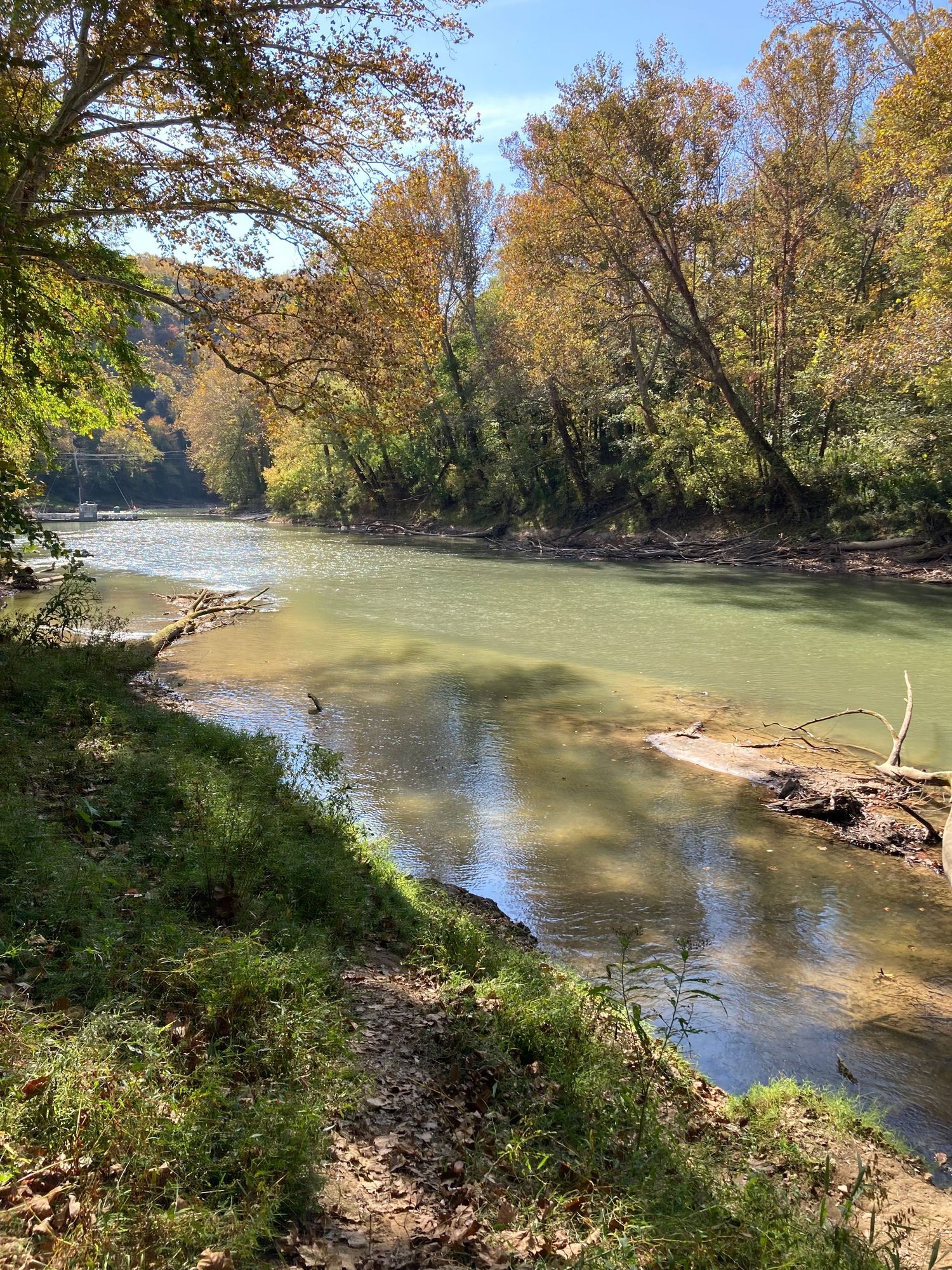 Scenic river with sandy banks surrounded by autumn foliage trees reflecting on calm green water.