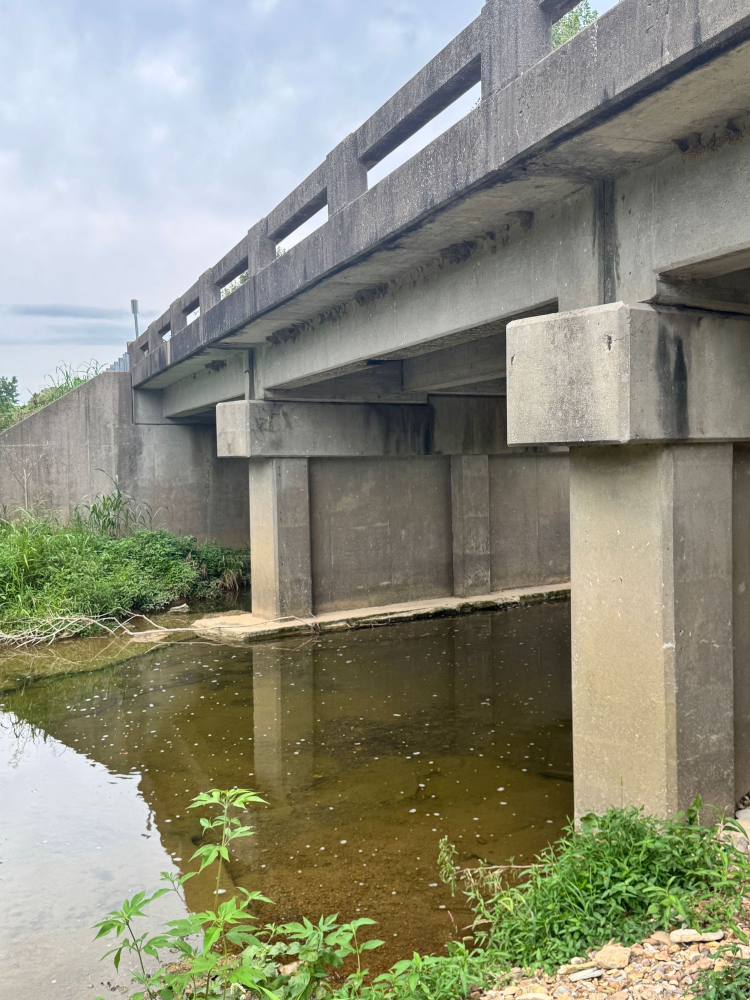 Concrete bridge with support pillars over a shallow river, surrounded by green vegetation under a cloudy sky.