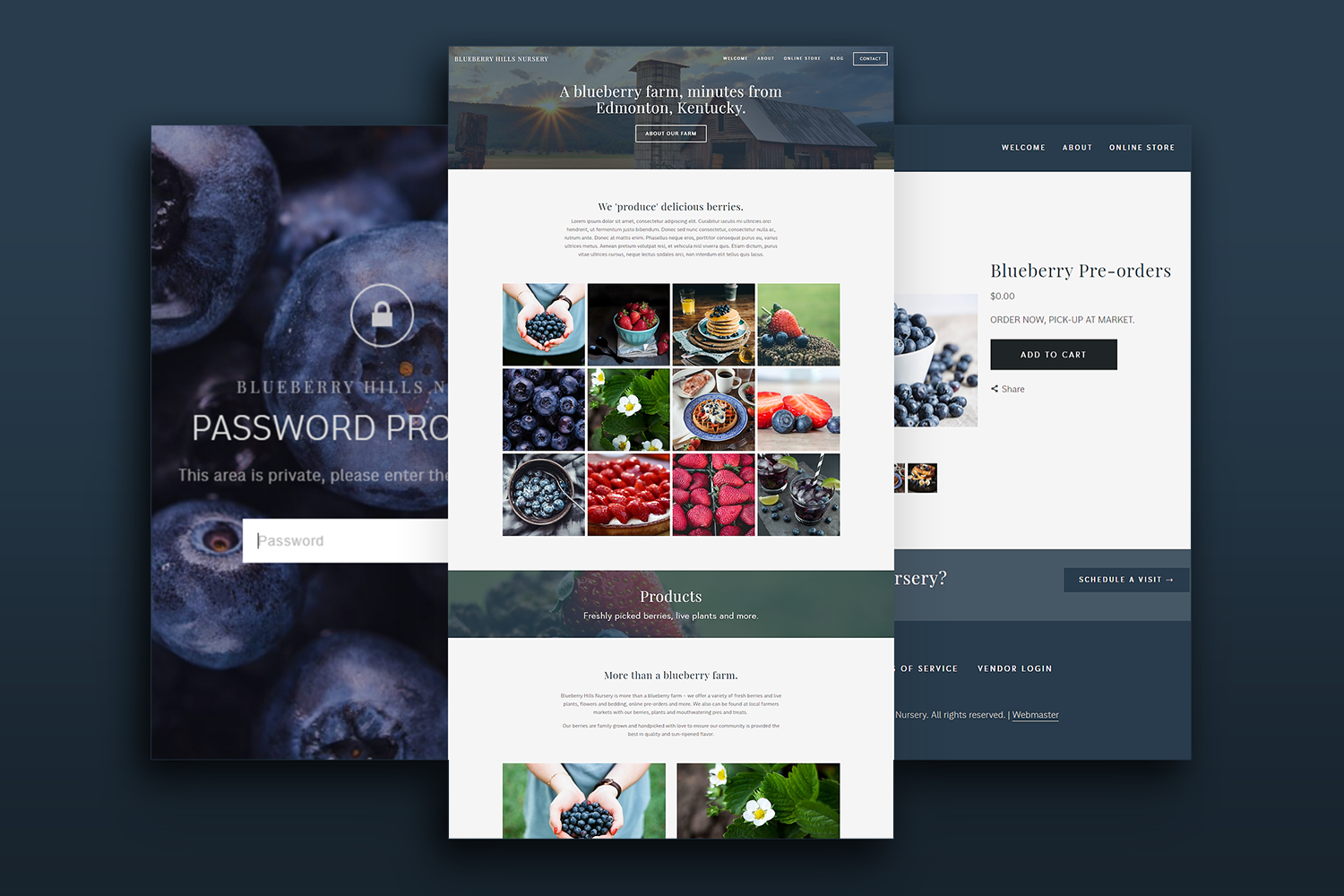 Three overlapping website mockups showcasing a blueberry-themed e-commerce store with password page and product listings.