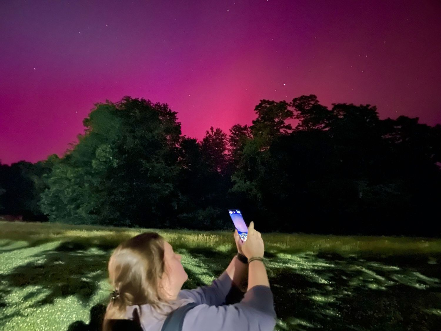 Woman photographing vibrant pink and purple aurora borealis northern lights glowing over dark forest treeline at night.