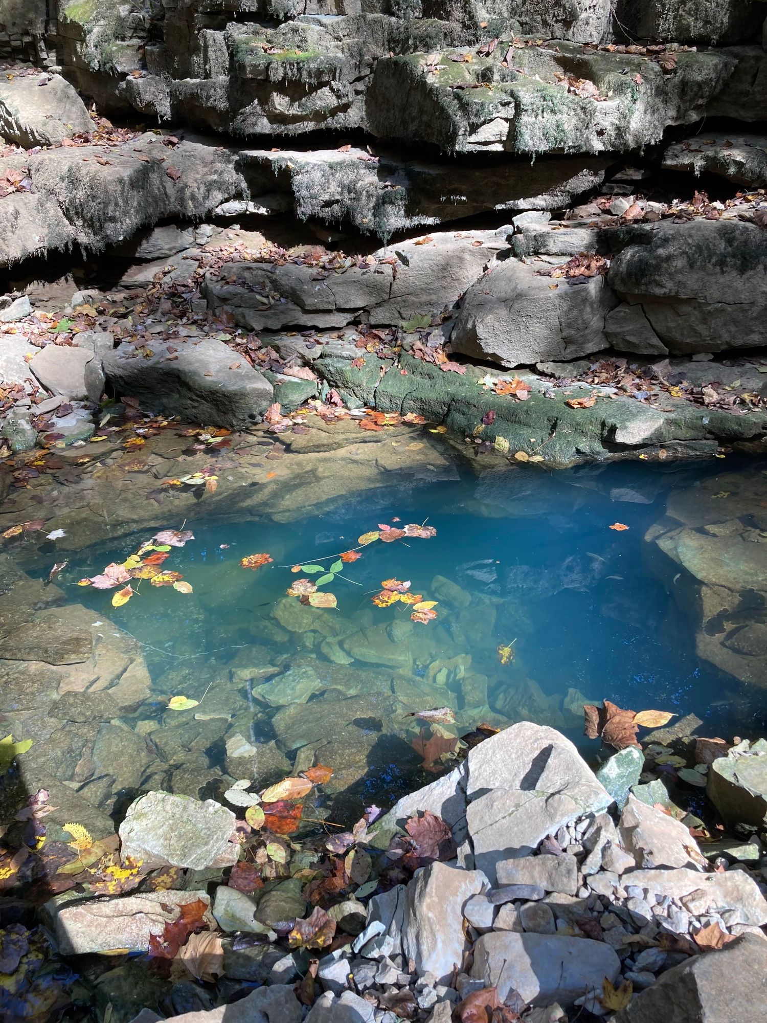 Crystal clear blue natural pool surrounded by mossy rocks and fallen autumn leaves in a serene forest setting.