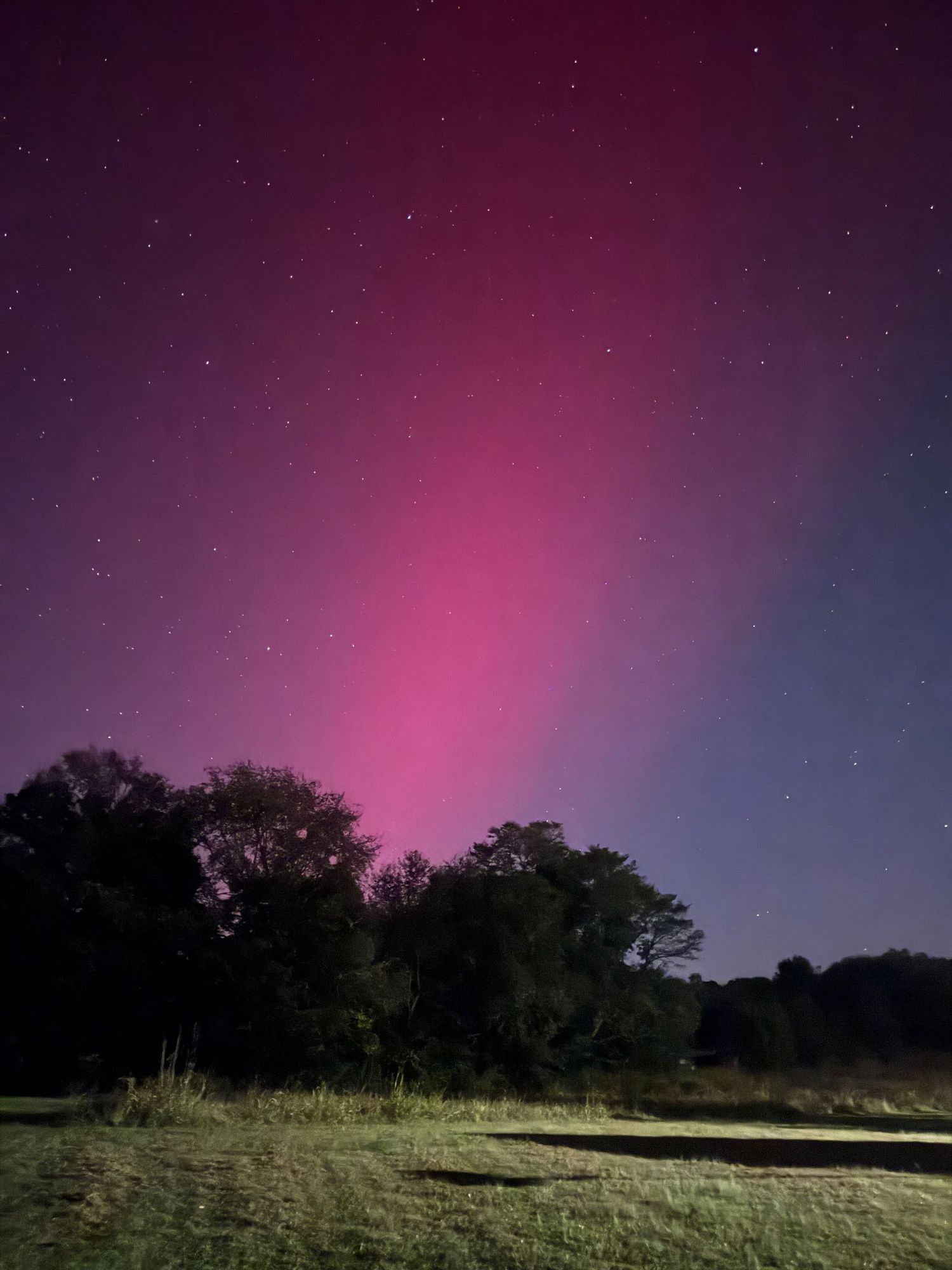 Magenta northern lights illuminate a dark field with trees under a starry sky.