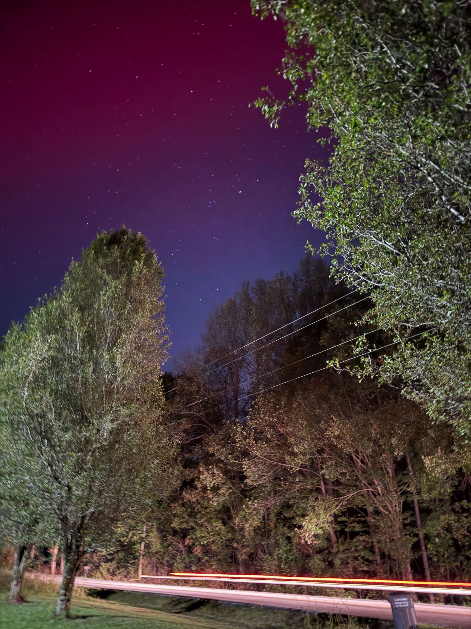 Light trails from passing cars streak beneath purple aurora-lit sky framed by illuminated trees.