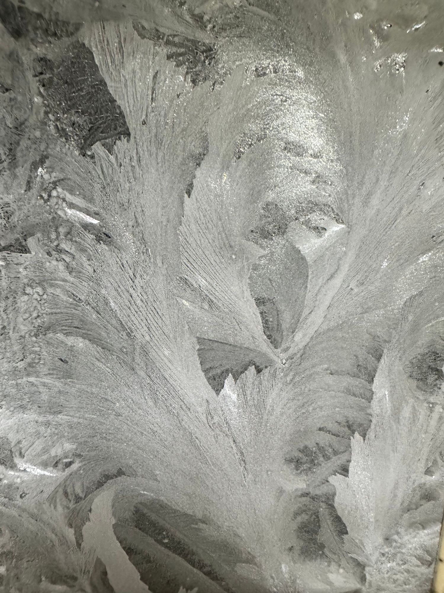 Close-up of intricate frost patterns on a window, forming delicate feather-like ice crystals in shades of silver and gray.
