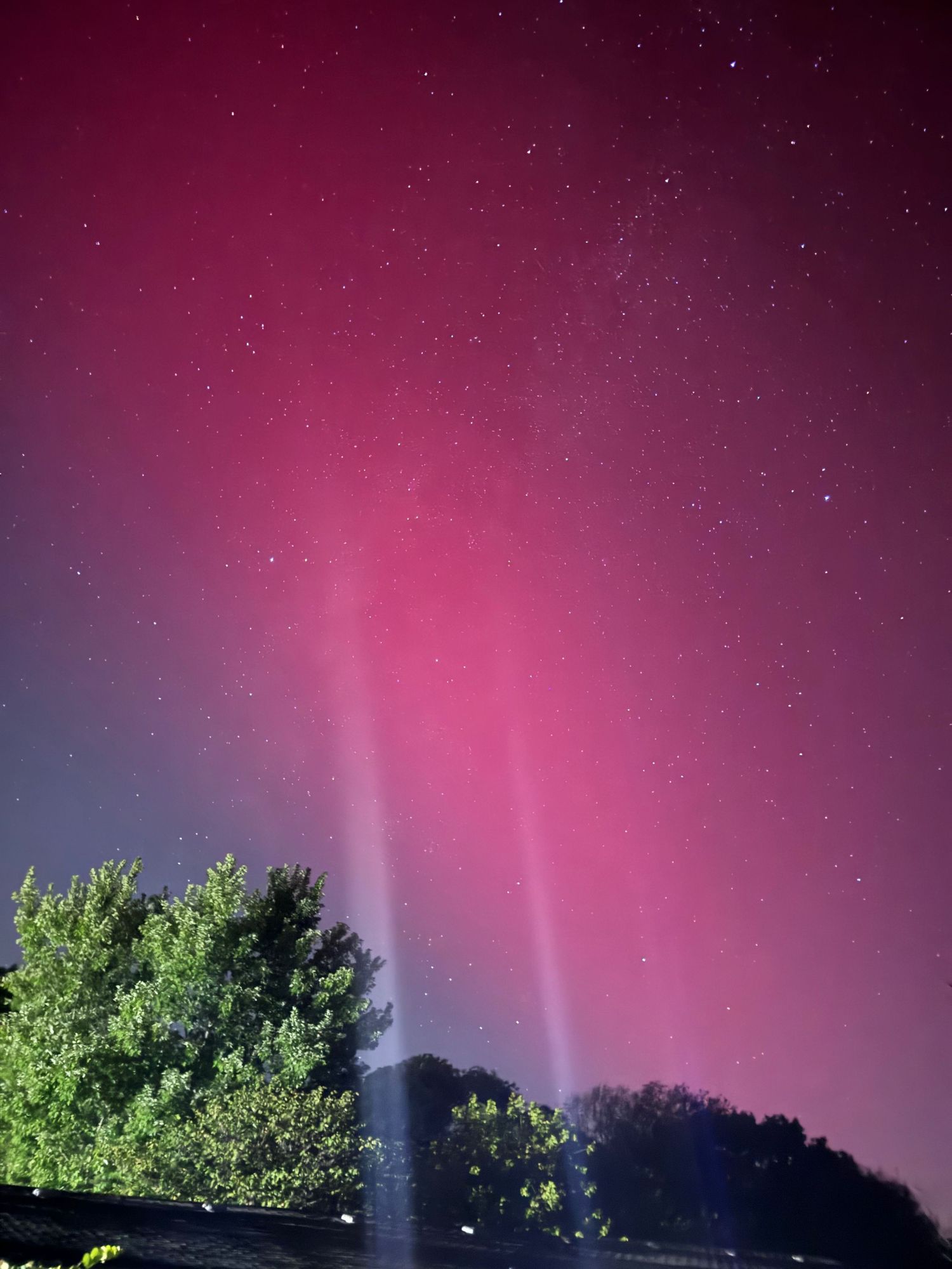 Vibrant pink aurora borealis streaks through starry night sky above dark treeline.