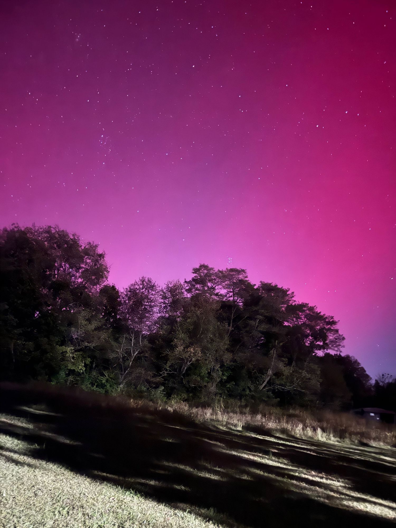 Intense pink aurora borealis glows in night sky over dark treeline and shadowy foreground.