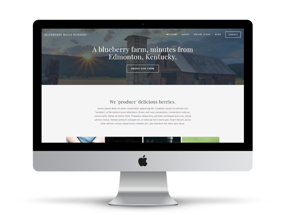A desktop computer displaying a blueberry farm website homepage with dark hero image and clean white content sections.