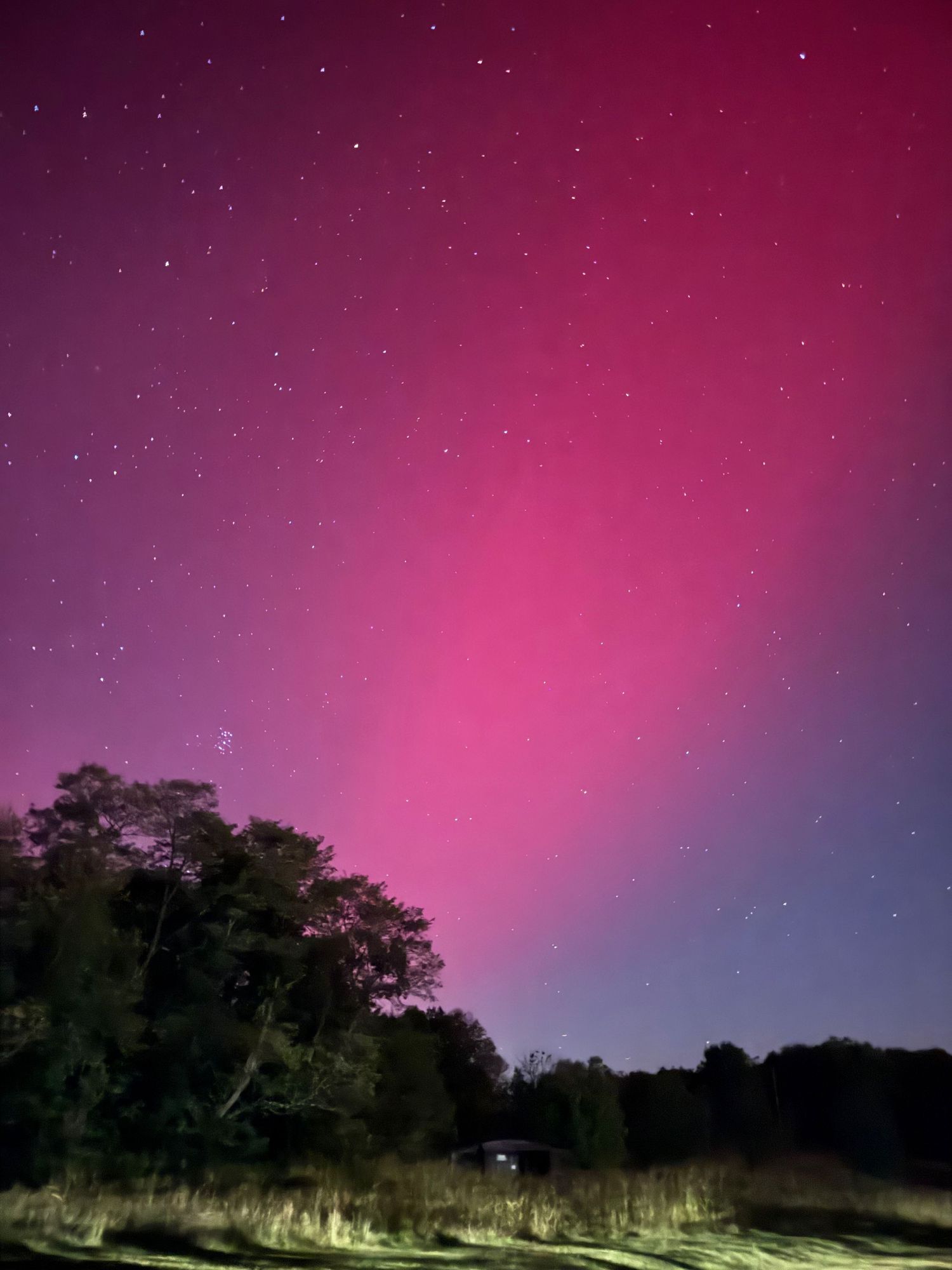 Bright magenta northern lights illuminate the night sky with stars visible through the colorful display.
