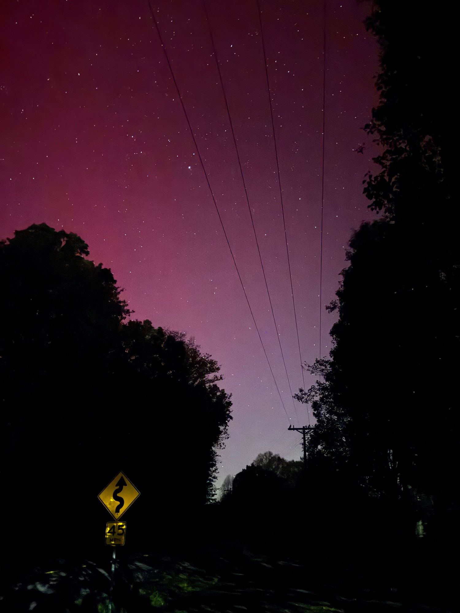 Road sign silhouetted against pink aurora borealis and starry sky between dark trees.