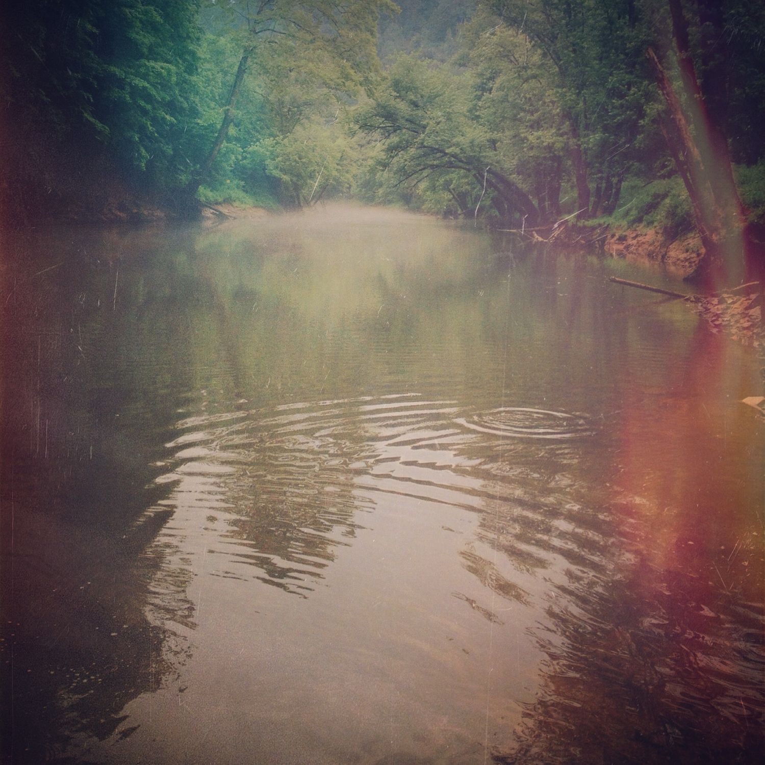 Misty river scene with rippling water reflections and overhanging trees creating a dreamy atmospheric mood.