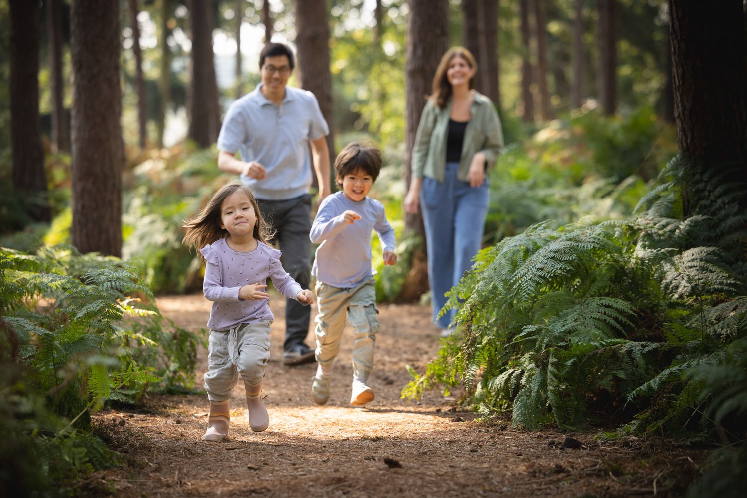A family enjoys hiking together on a sunlit forest trail surrounded by ferns and tall pine trees.