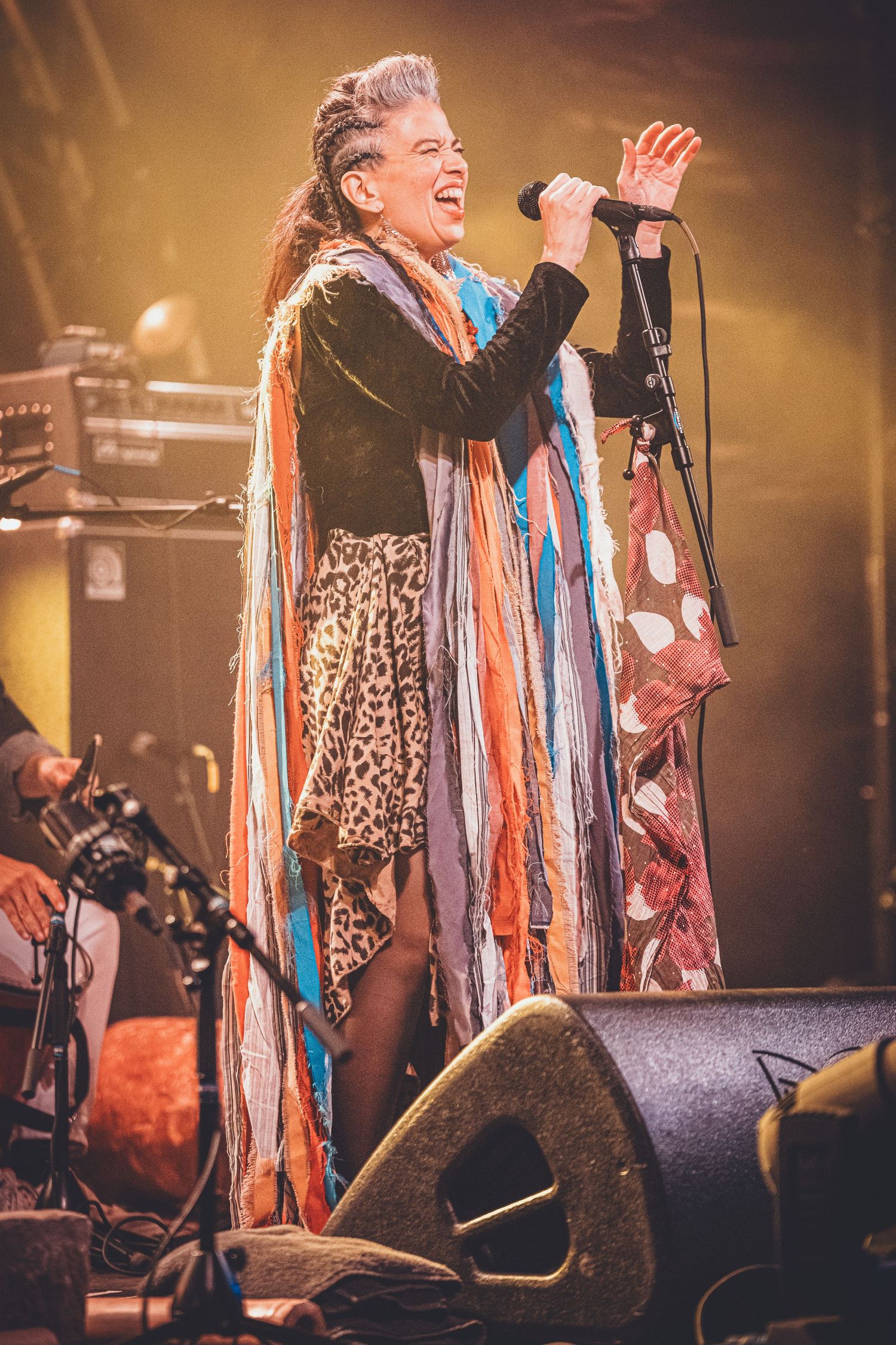 An energetic singer performs on stage with colorful braided hair and a leopard print top during a vibrant concert performance.