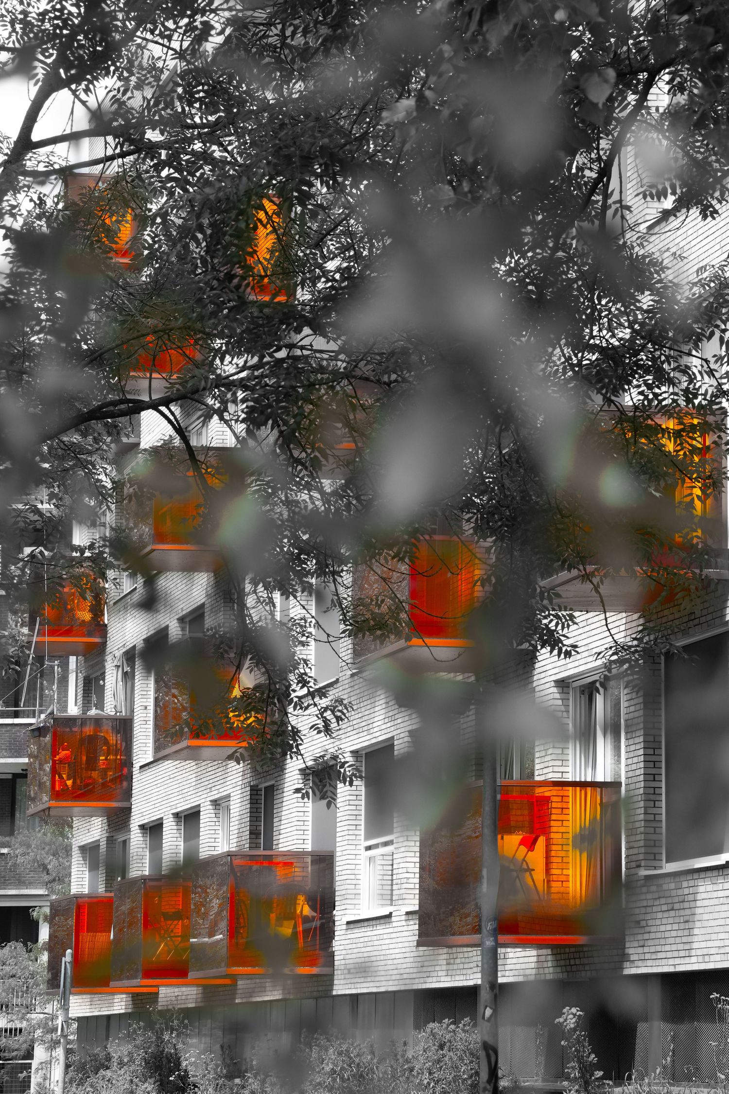 Black and white building facade with vibrant orange glowing balconies visible through tree branches.