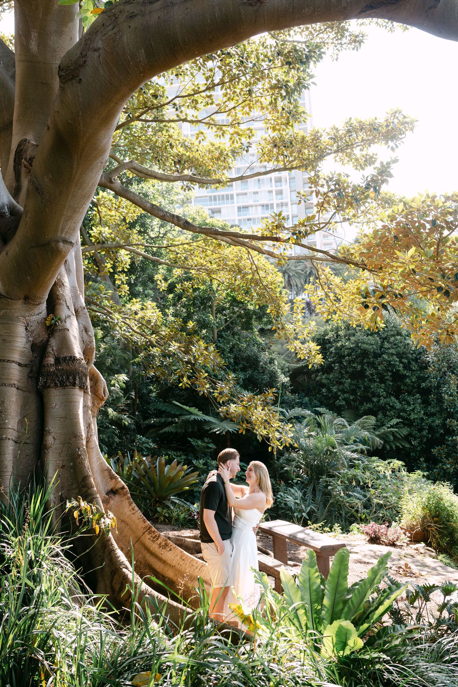 Couple embracing under a large fig tree in a lush botanical garden setting.