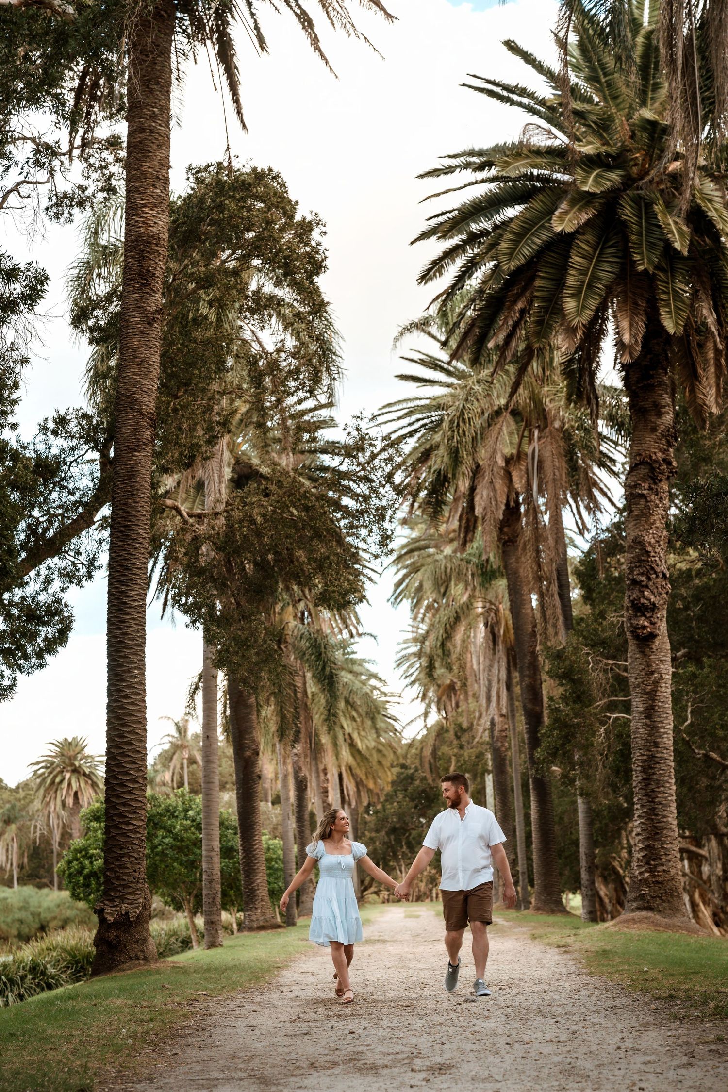 Couple holding hands walking along a palm tree-lined path in a lush botanical garden.