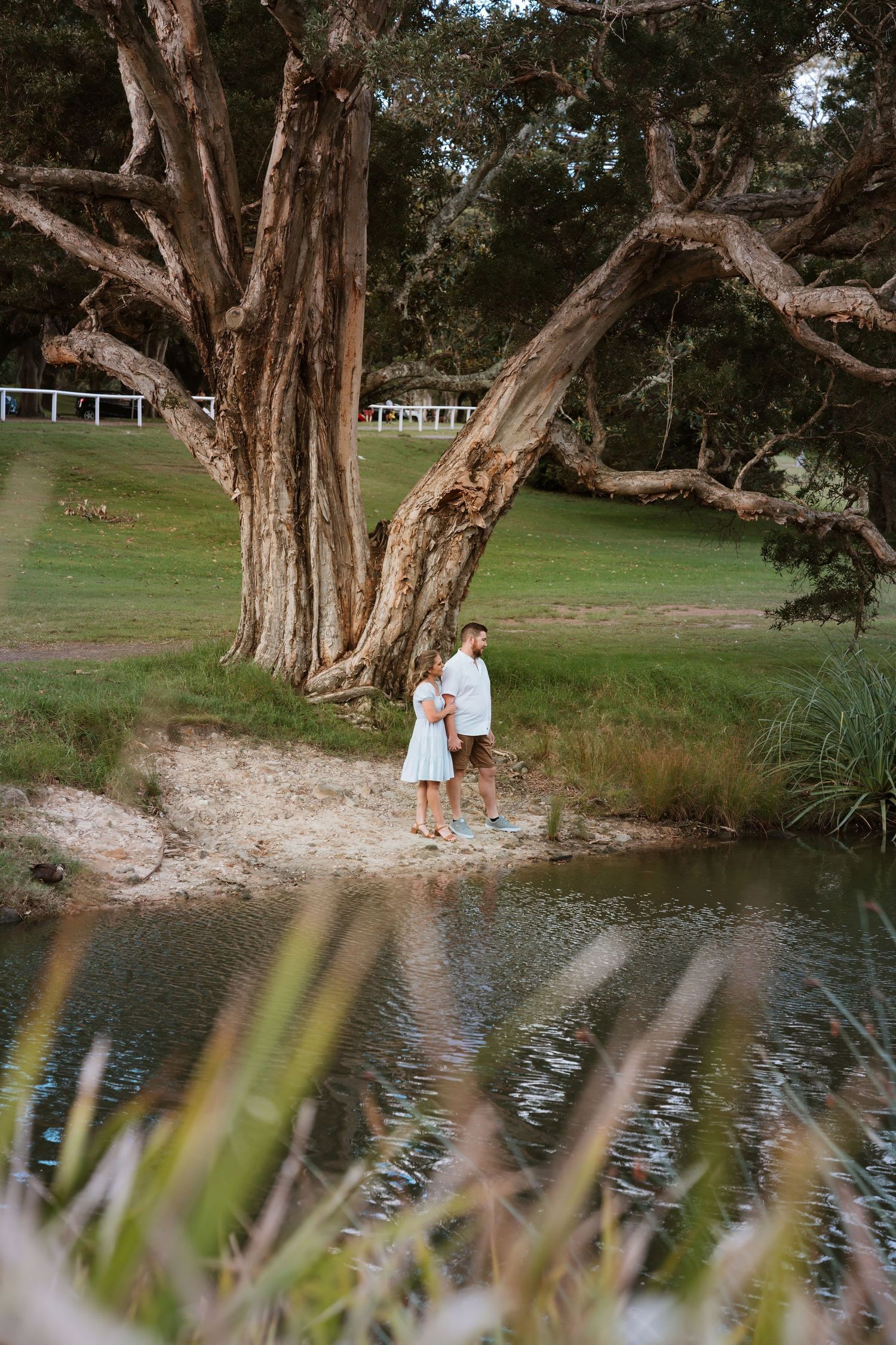 Couple embracing near a large ancient tree beside a tranquil pond in a green park.