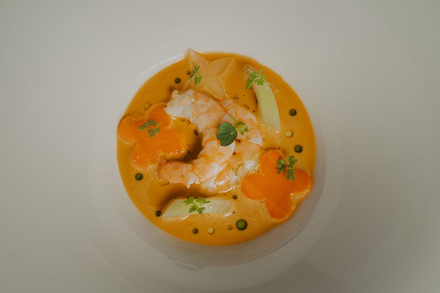 shrimp soup