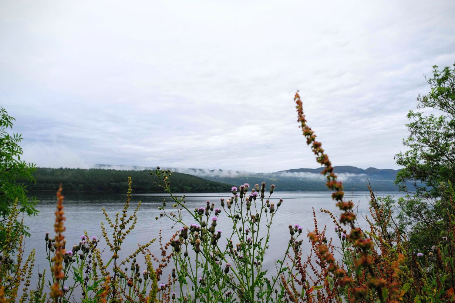 Breathtaking view of the Scottish Highlands, with rugged mountains and misty skies creating a dramatic backdrop.