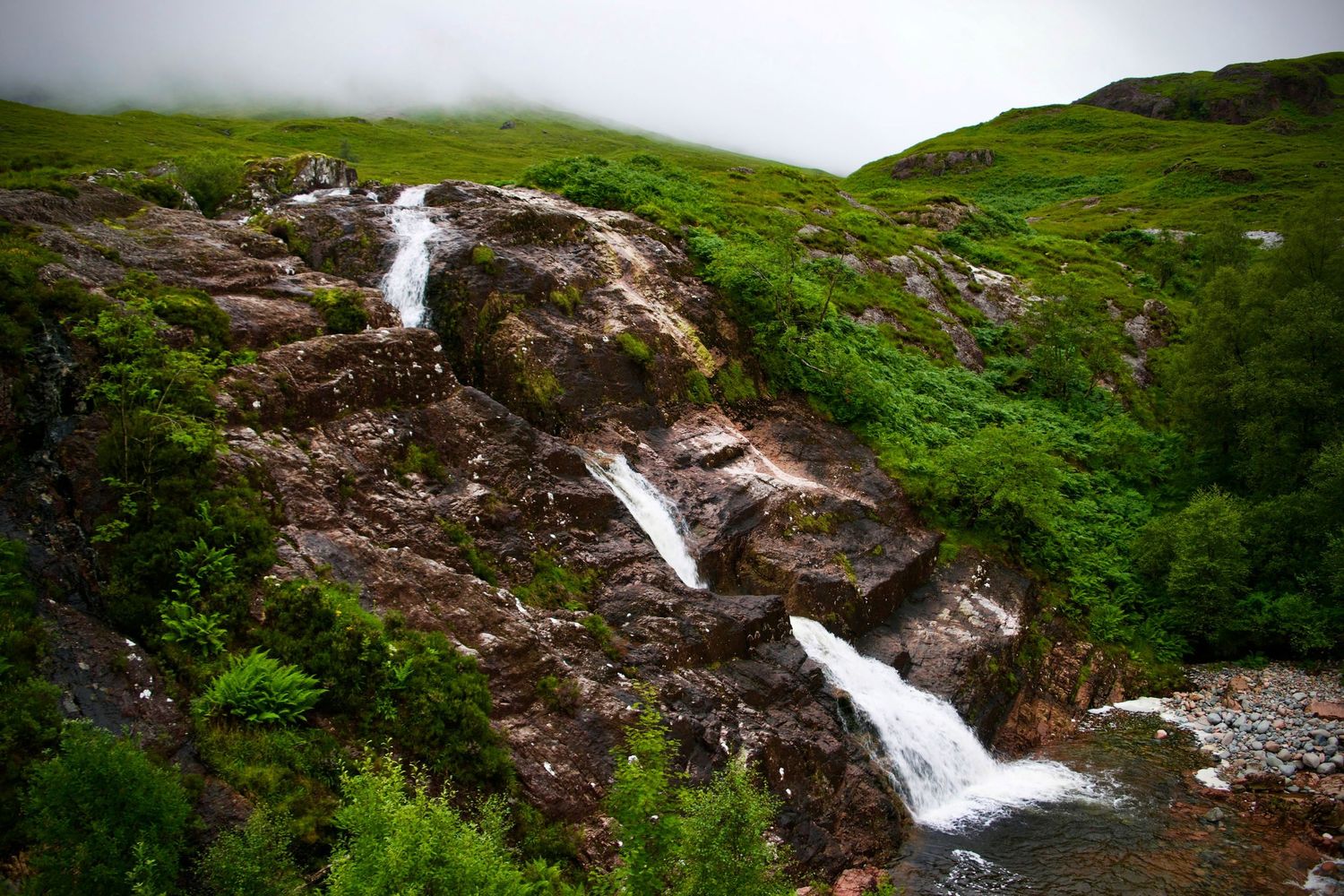 Lush Scottish landscape, with vibrant green fields and a winding path leading into the misty distance