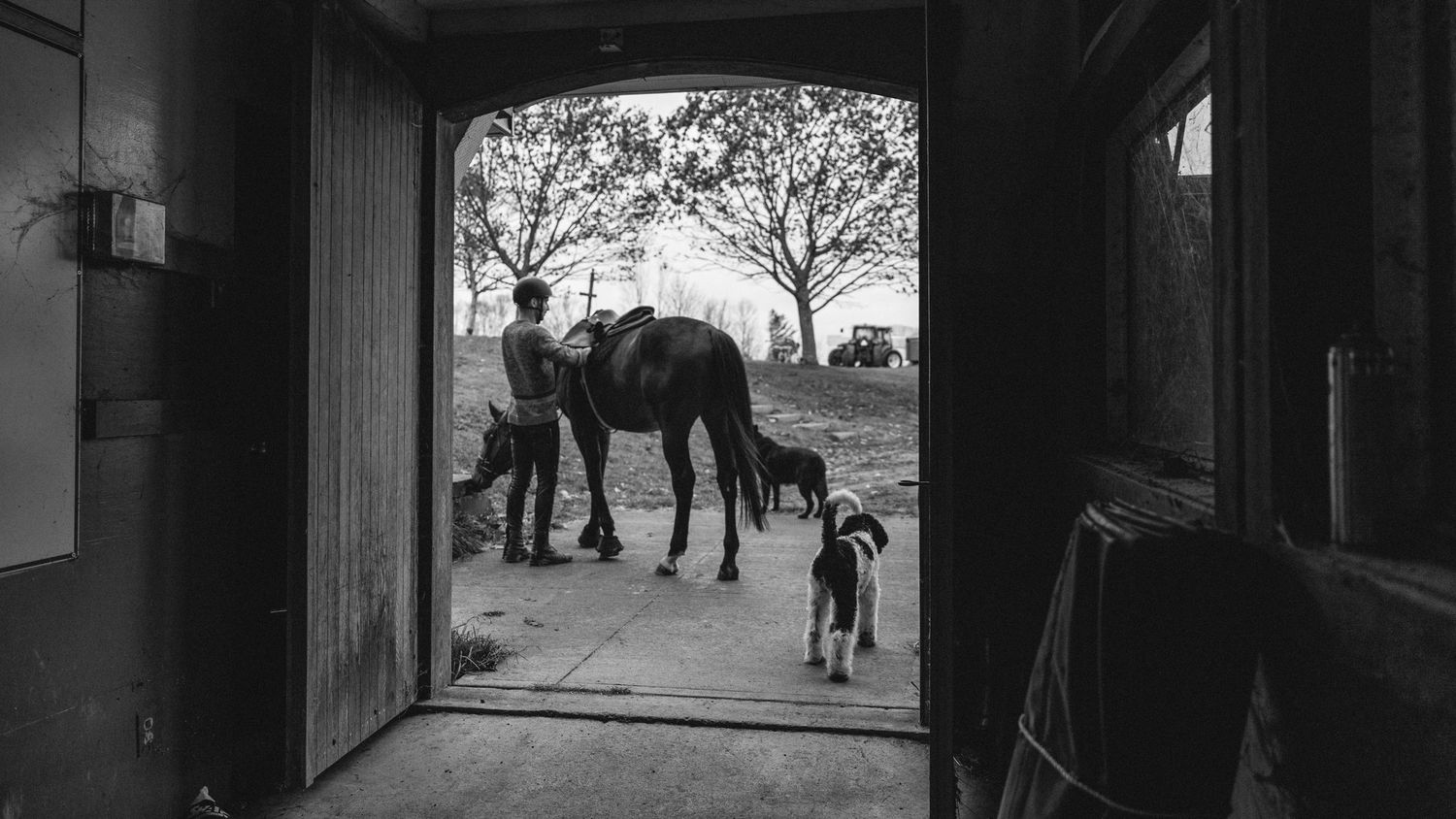 Black and white view through a doorway showing a silhouette of a person with a camel and dog on a sunny day.