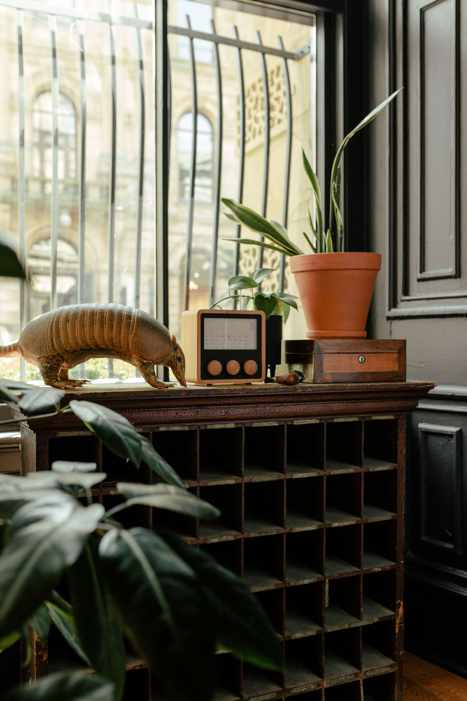 Wooden shelving unit with potted plants and vintage radio equipment sits against a window in a cozy interior space.