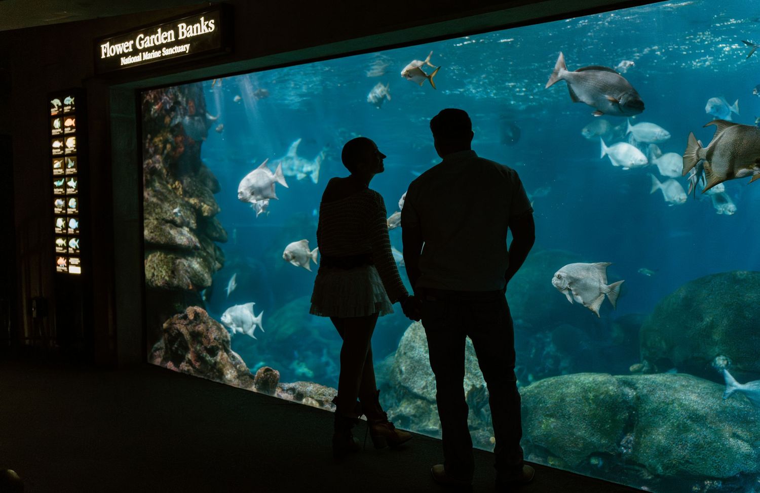 Intimate moment between a couple during an anniversary date at the aquarium in Chattanooga, Tennessee.