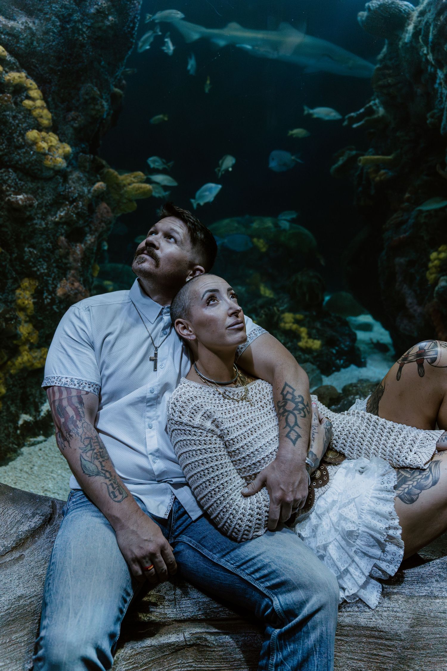 A couple gazes upward at fish swimming in an aquarium tank while sitting together in a romantic pose.