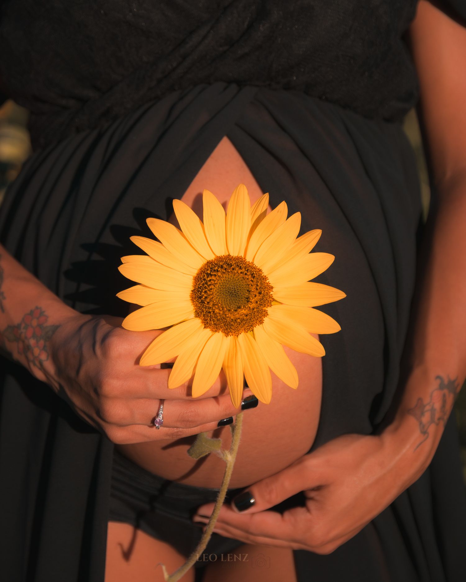 Series of artistic close-up shots showing hands holding a vibrant yellow sunflower against black fabric.