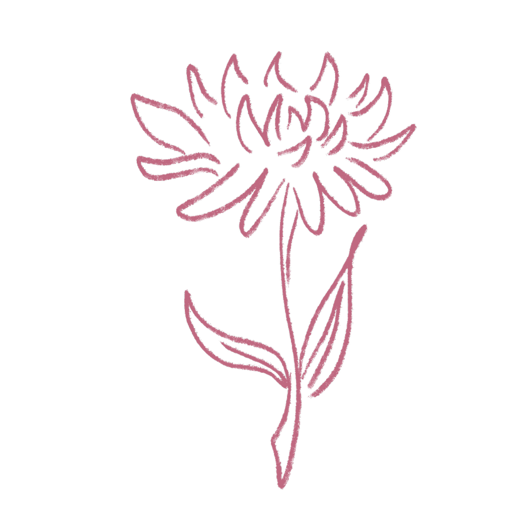 Pink line art drawing of a single dahlia flower with stem and leaves on white background.