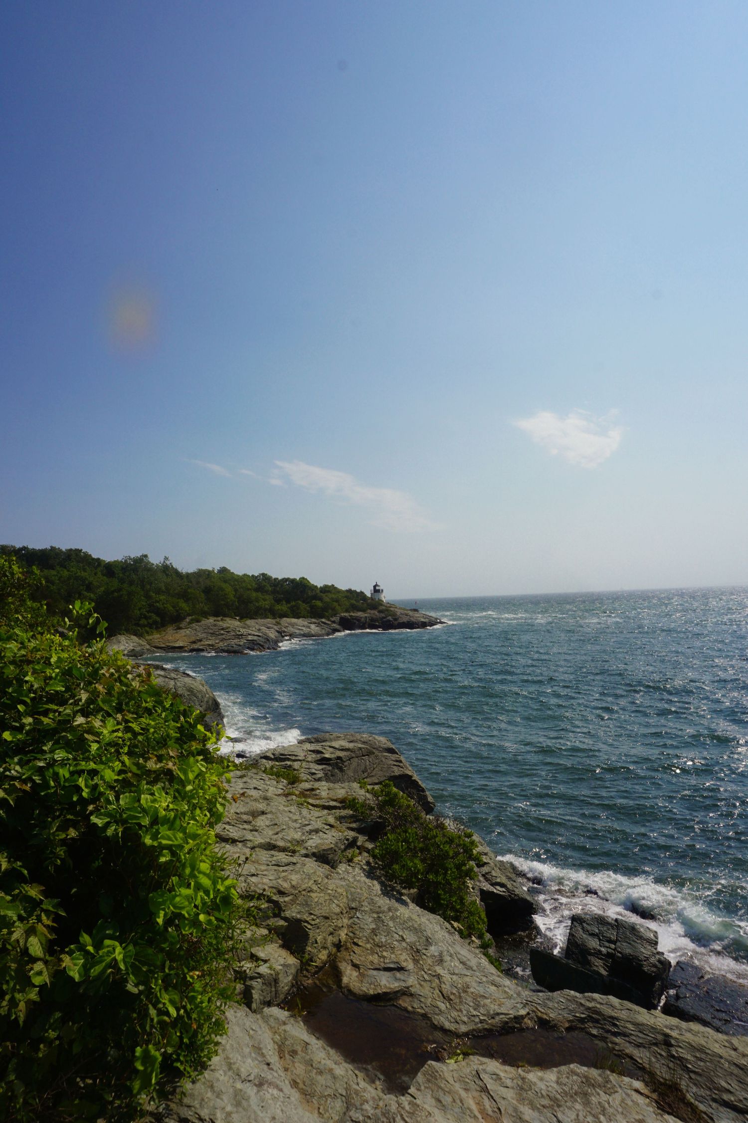 Rocky coastline with lush green shrubs, crashing ocean waves, and a clear blue sky on a sunny day.
