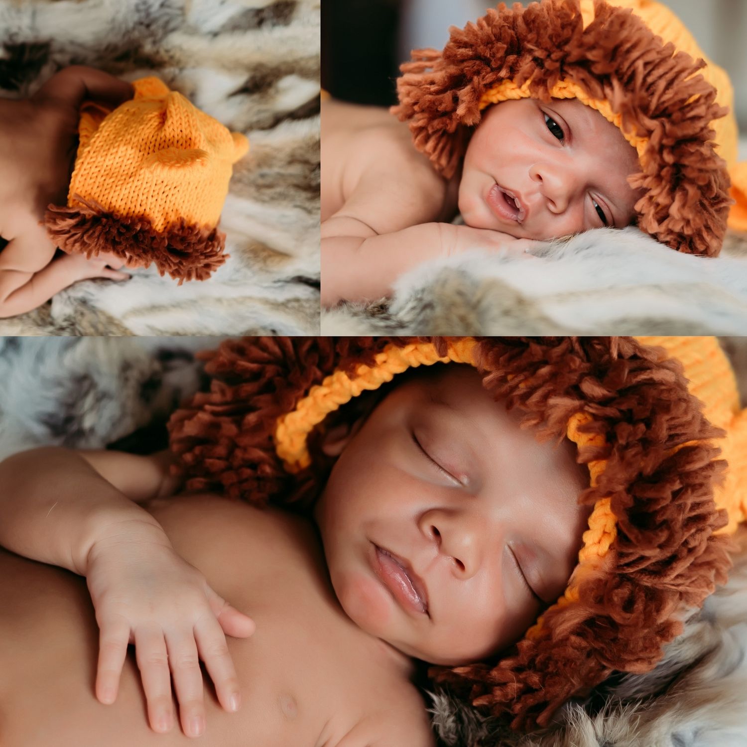 Sweet newborn photography collage featuring an orange lion-themed costume on soft bedding.