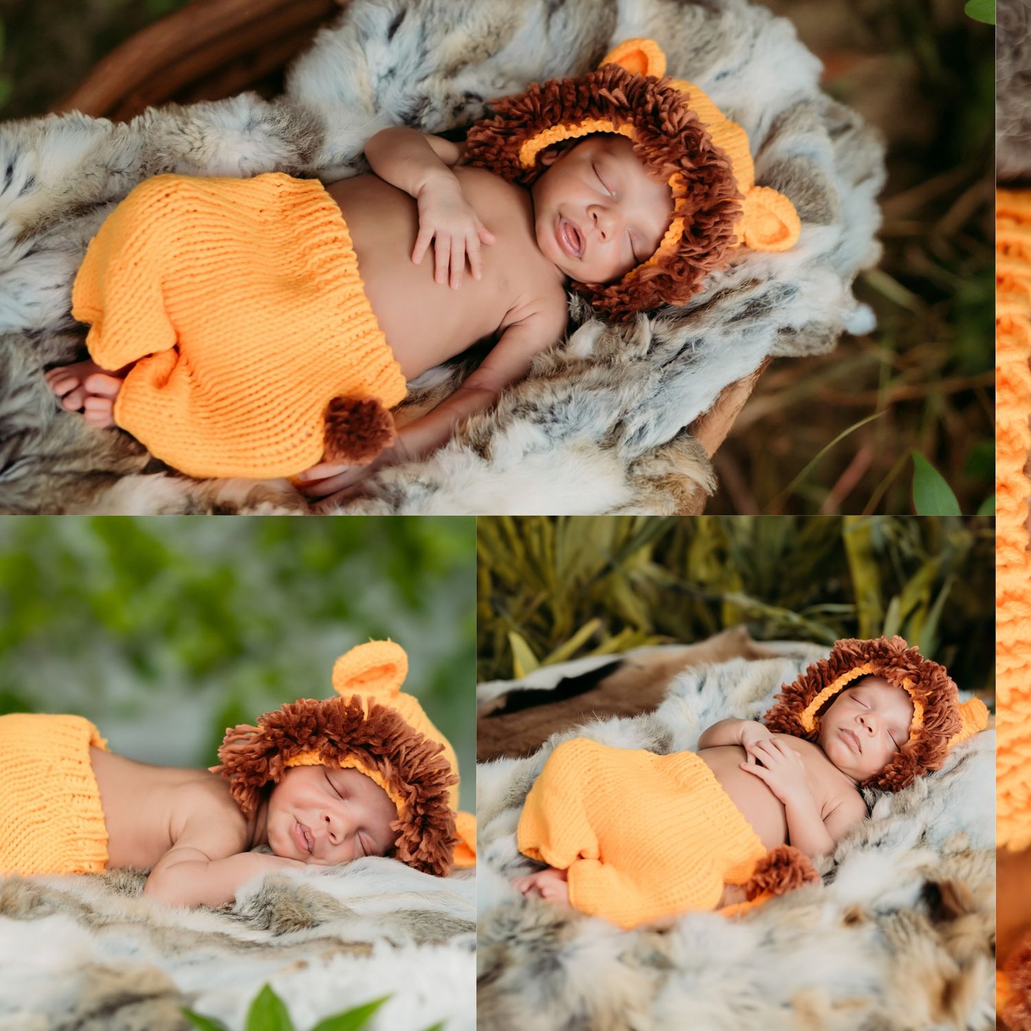 Artistic newborn photo collection with baby dressed in orange lion-themed outfit on textured backdrop.