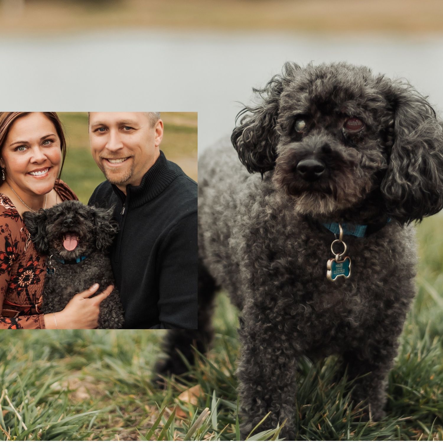 A fluffy black dog poses with its family during an outdoor photo session.