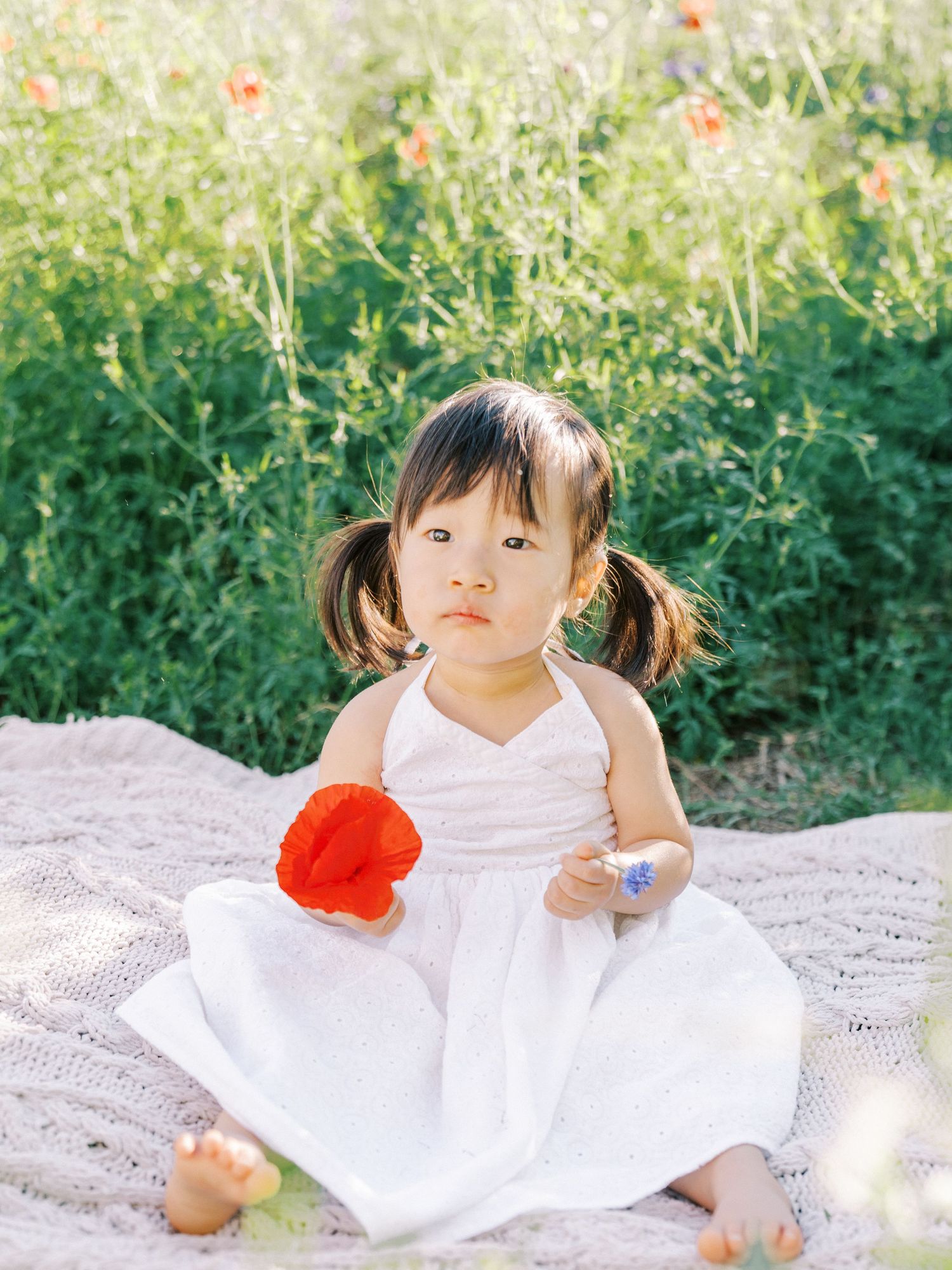 A small child in a white dress sits on a blanket holding a red poppy flower in a garden setting.