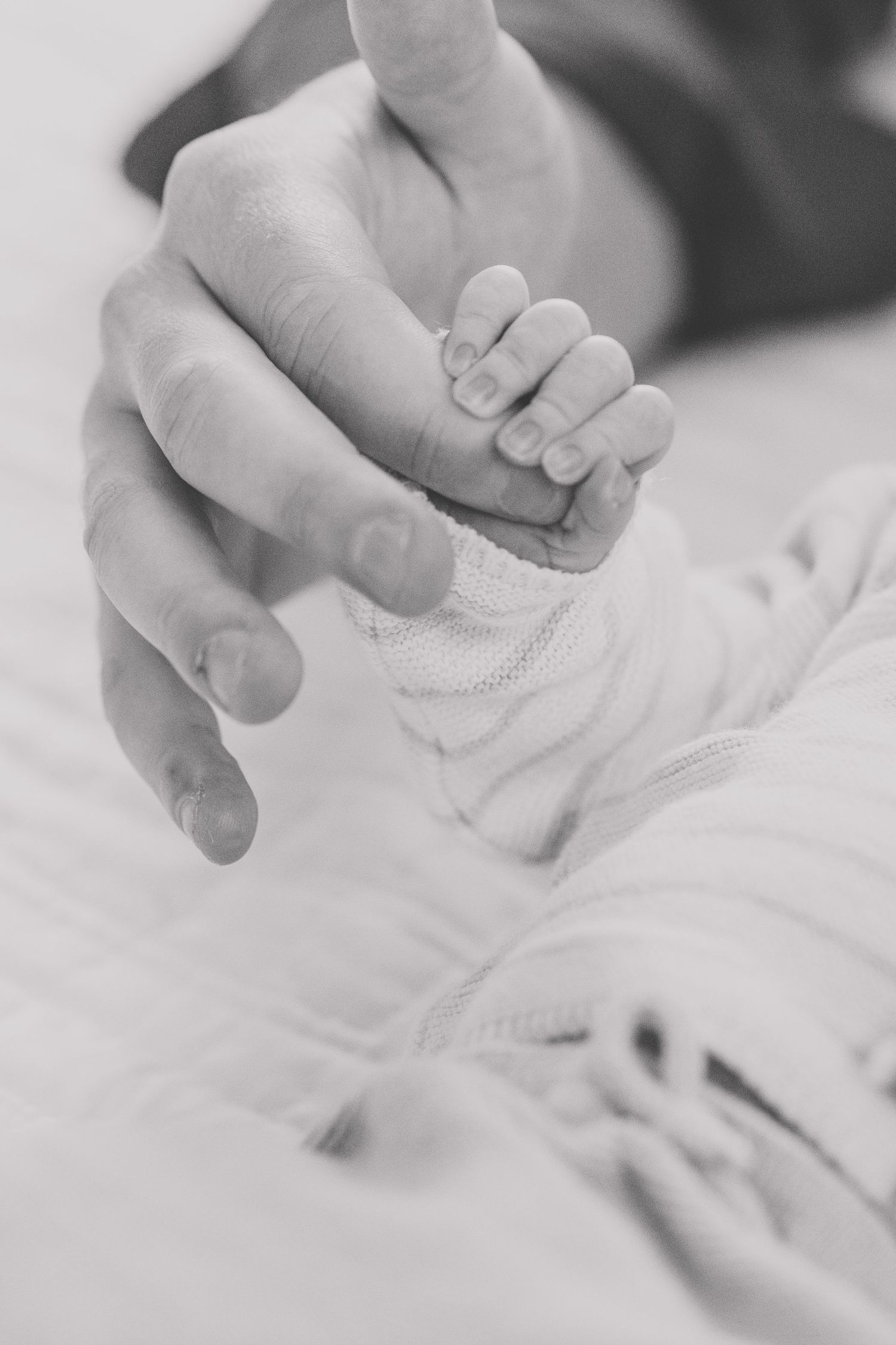 Black and white close-up of tiny newborn baby feet being gently held by adult hands against soft white fabric.