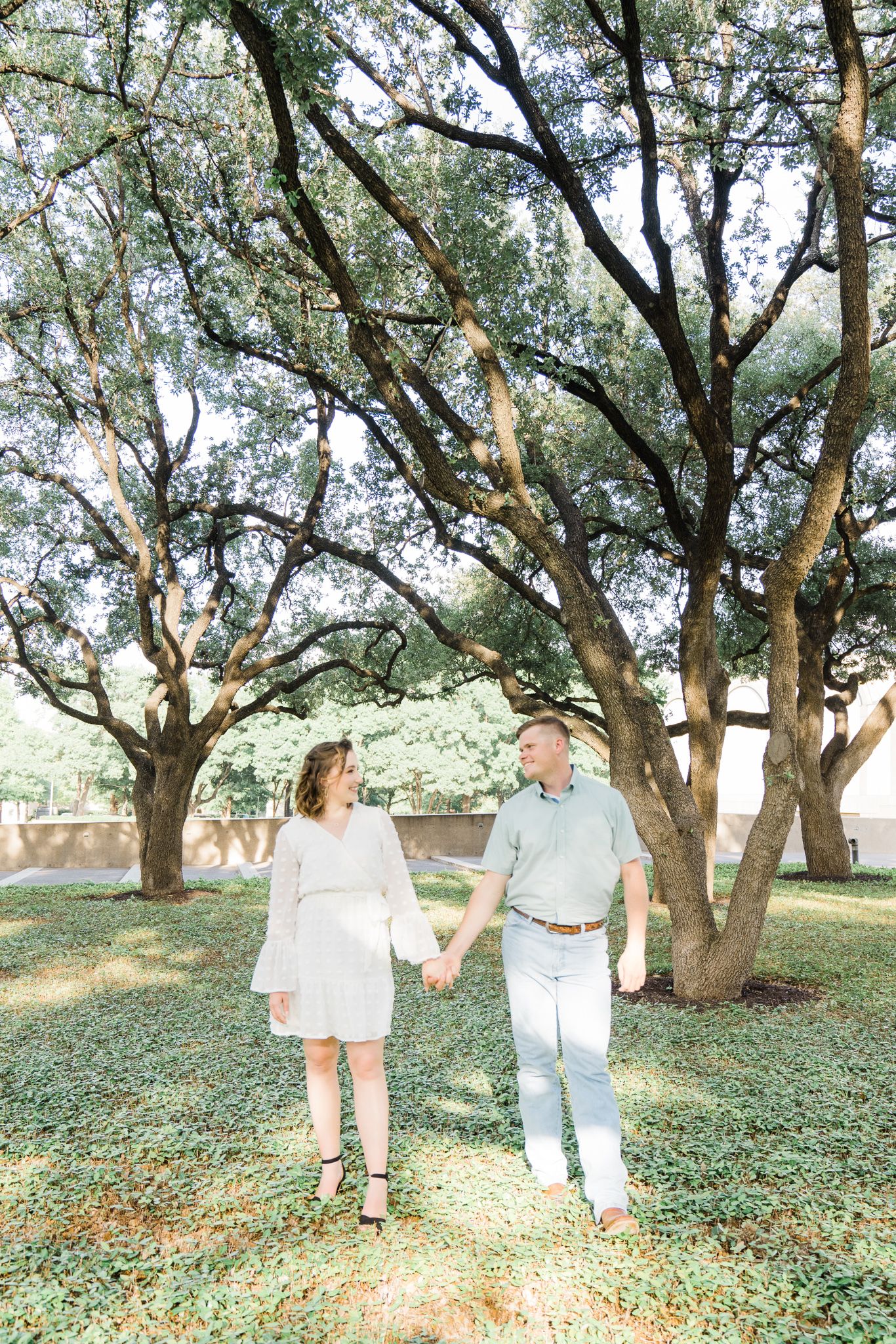 A couple strolls through a serene grove of mature olive trees with ground cover on a sunny afternoon.
