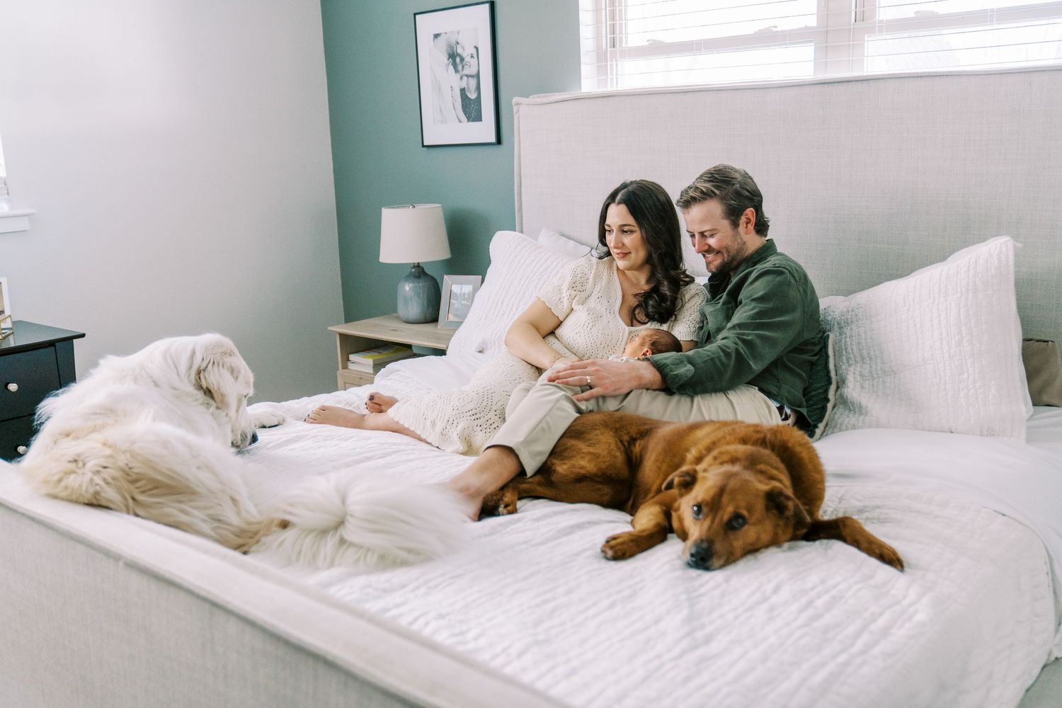 A sequence of photos showing a dog and people relaxing together on a white bed.